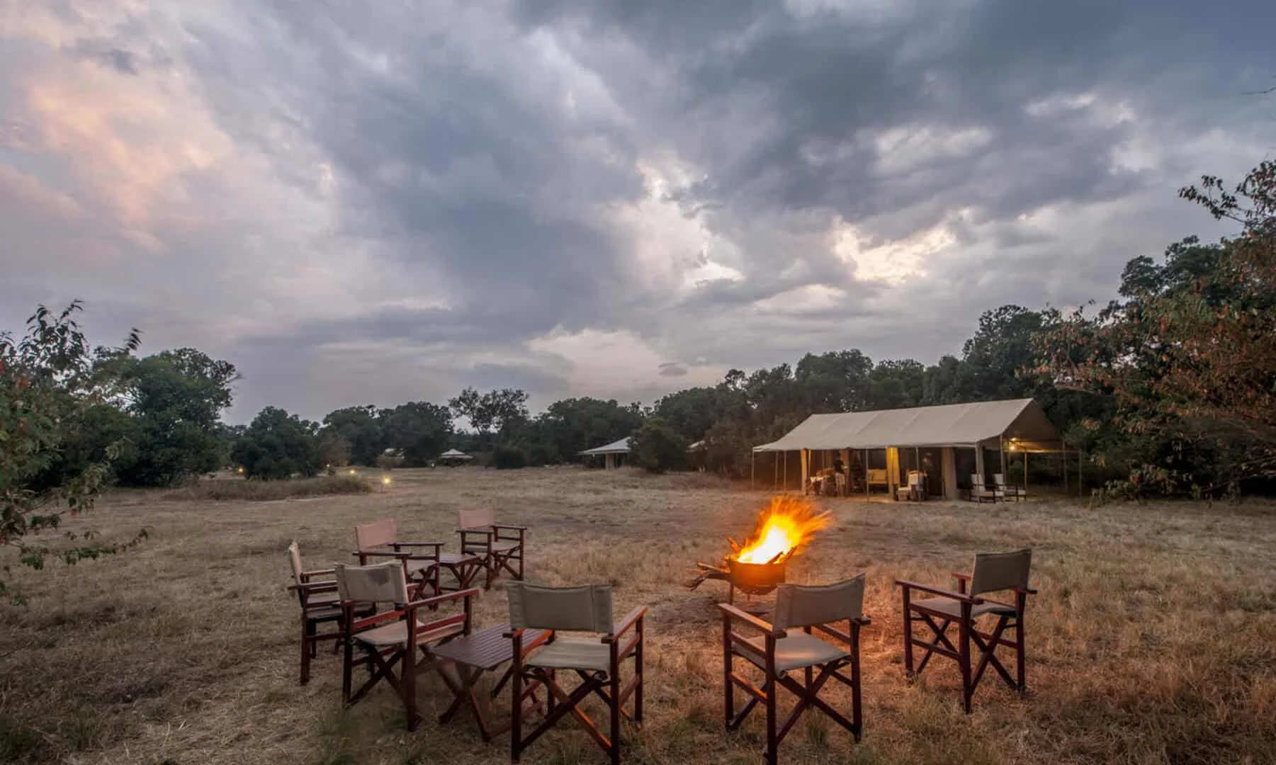 Acacia Migration Camp Ndutu — image 2