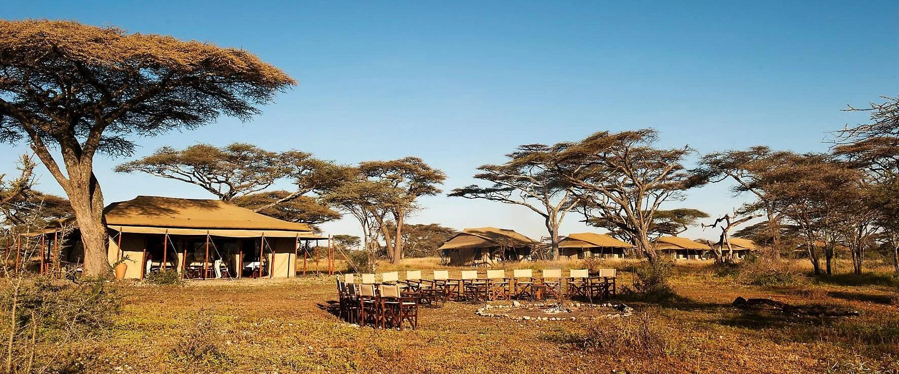 Acacia Migration Camp Ndutu — image 3