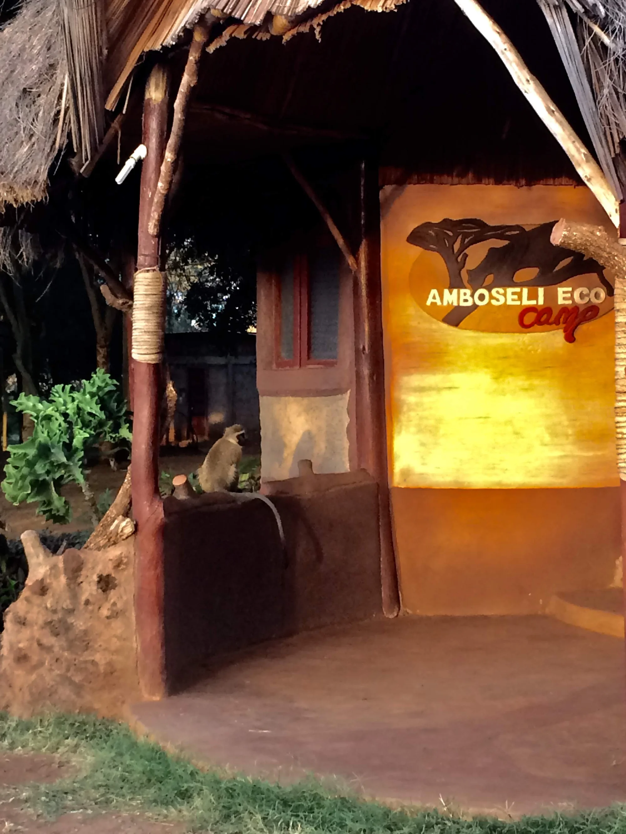Amboseli Eco Camp — image 3