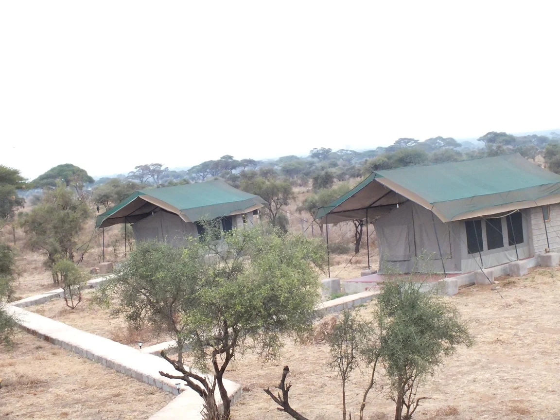 Amboseli Mountain View Camp — image 2