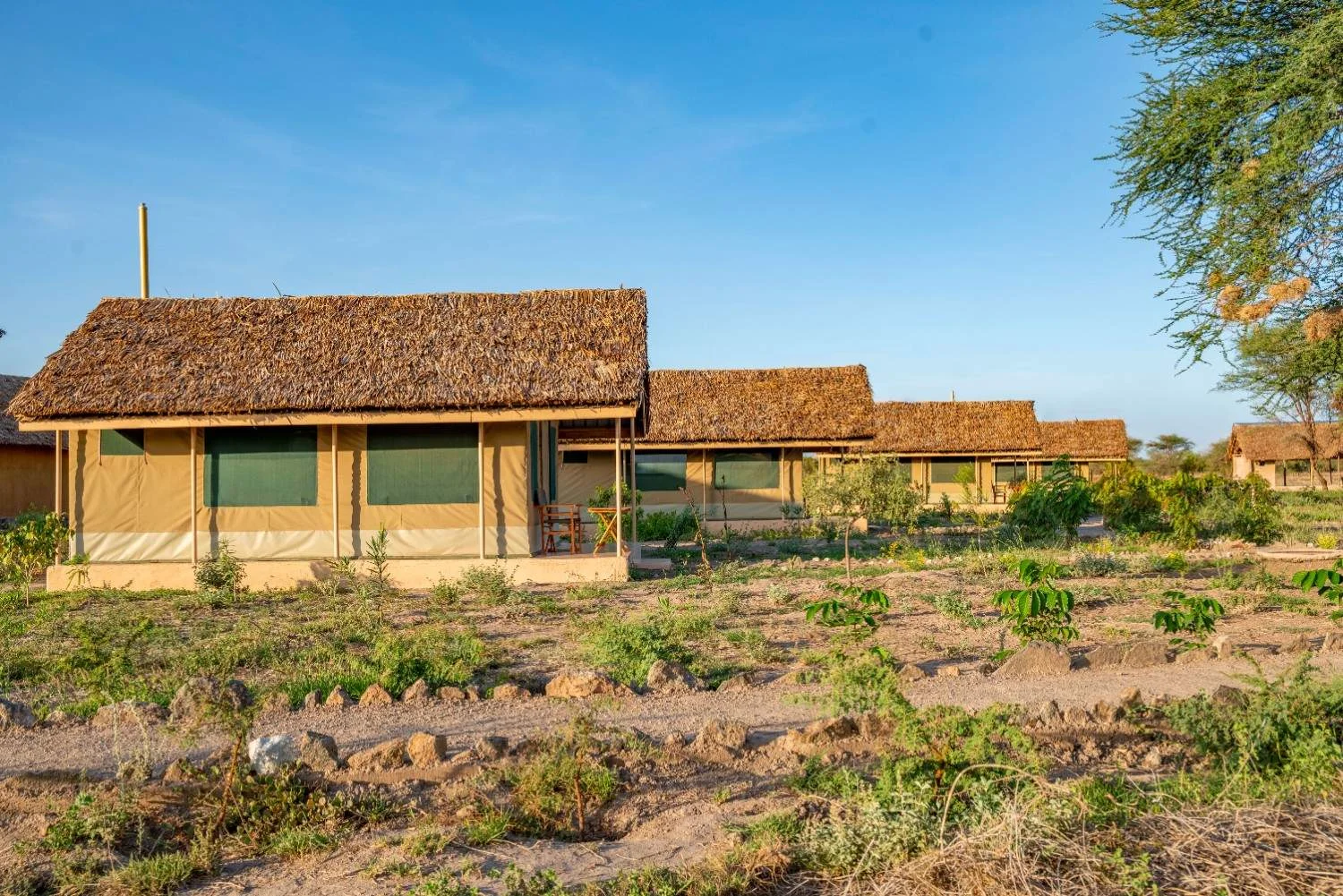 Amboseli Wildebeest Camp