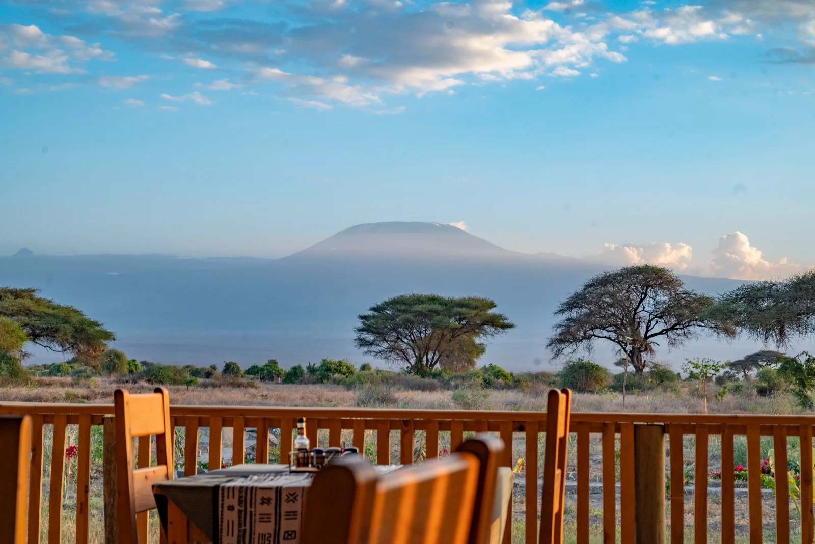 Amboseli Wildebeest Camp — image 3