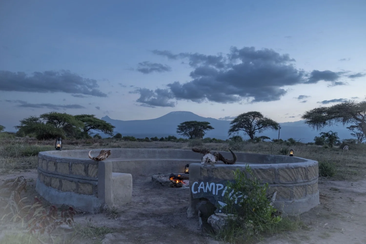 Amboseli Wildebeest Camp — image 2