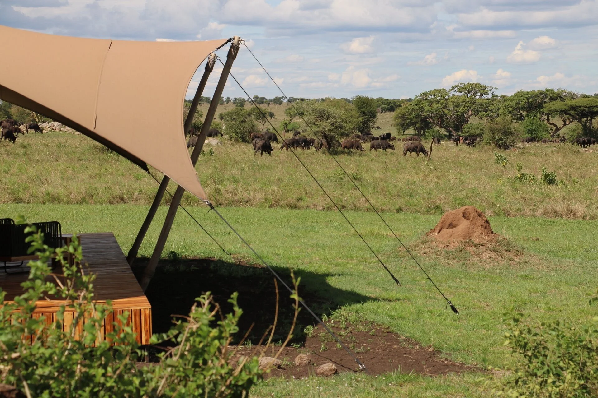 Anantya Serengeti — image 2