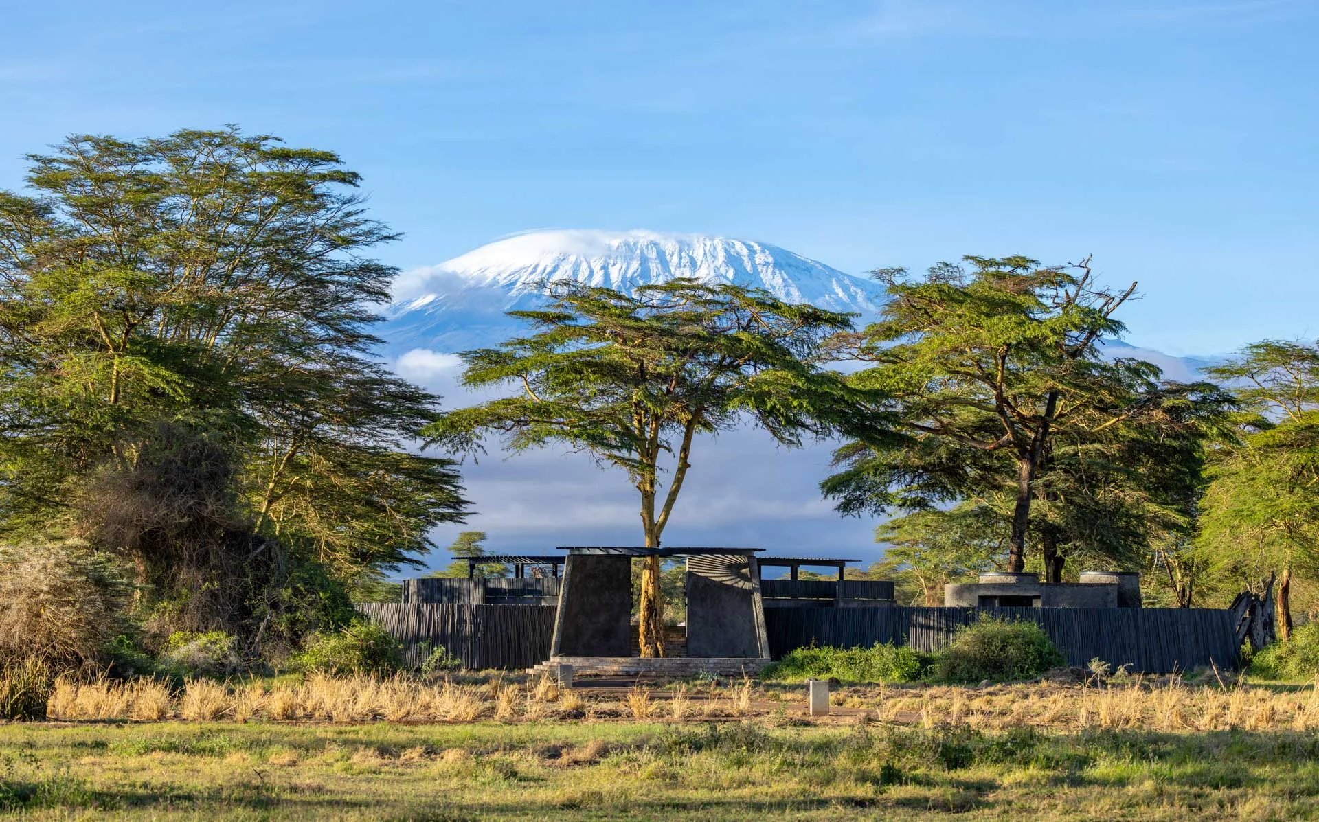 Angama Amboseli — image 2