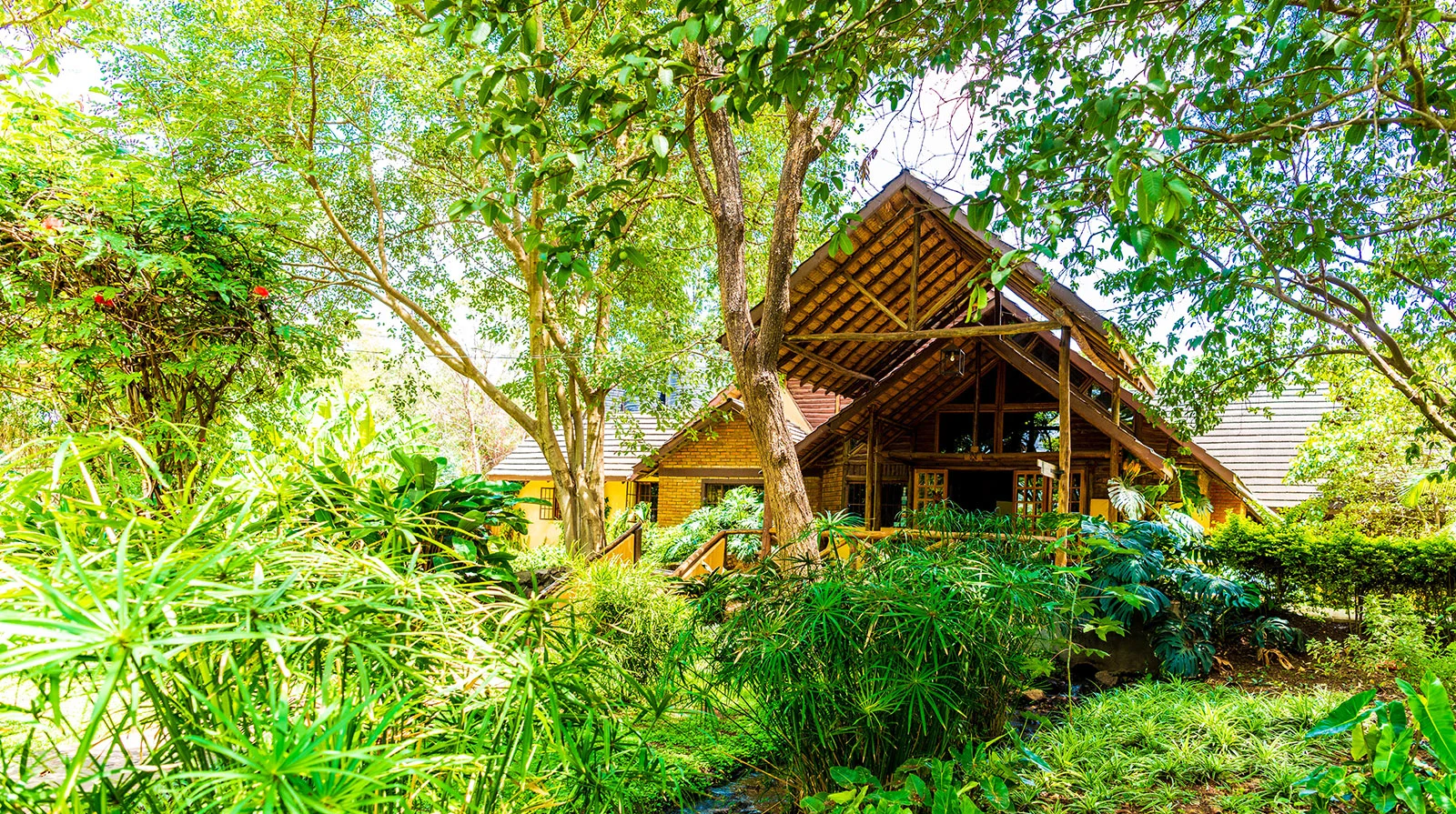 Arumeru River Lodge — image 2