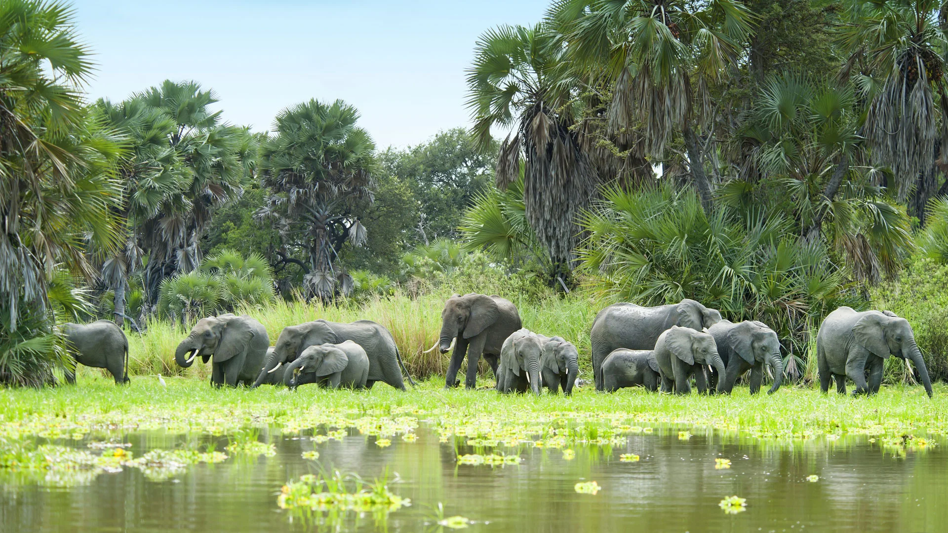 Azura Selous — Nyerere National Park