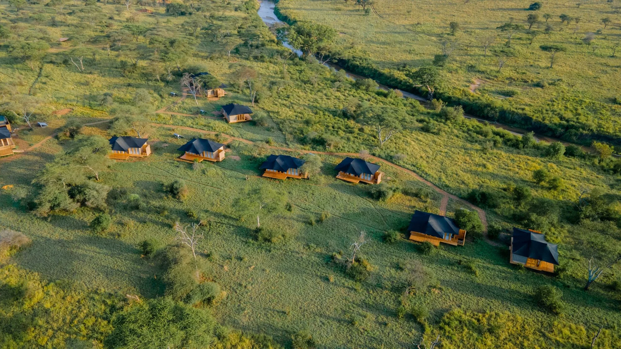 Baobab Central Serengeti Tented Camp — image 2