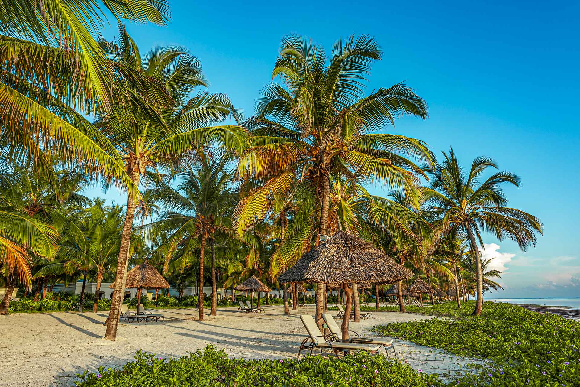 Baraza Resort & Spa Zanzibar — image 3