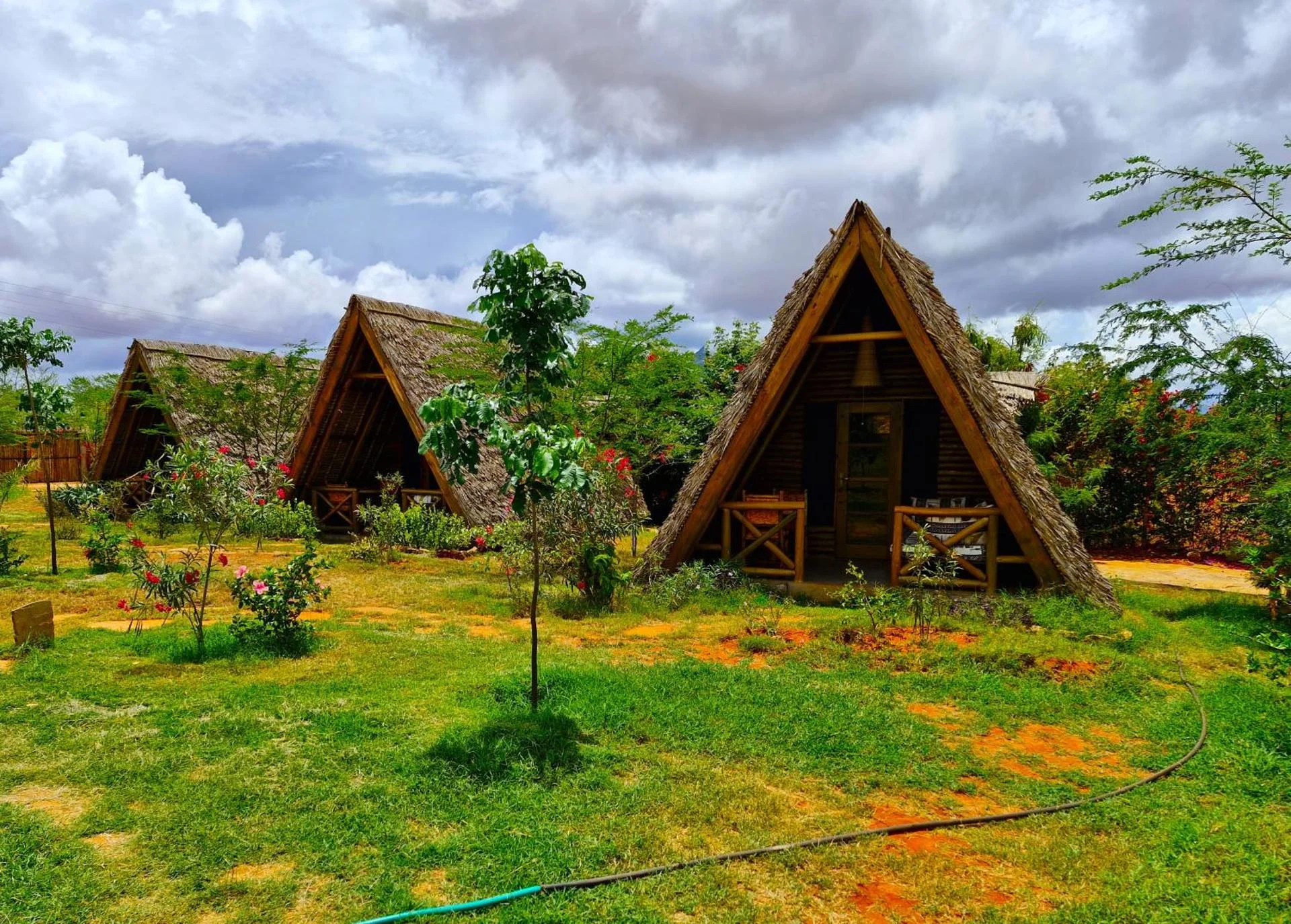 Boma Simba Safari Lodge — image 3