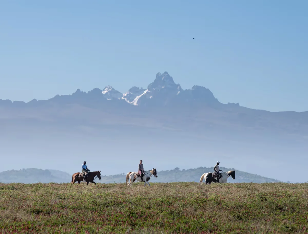 Borana fly camp — image 2