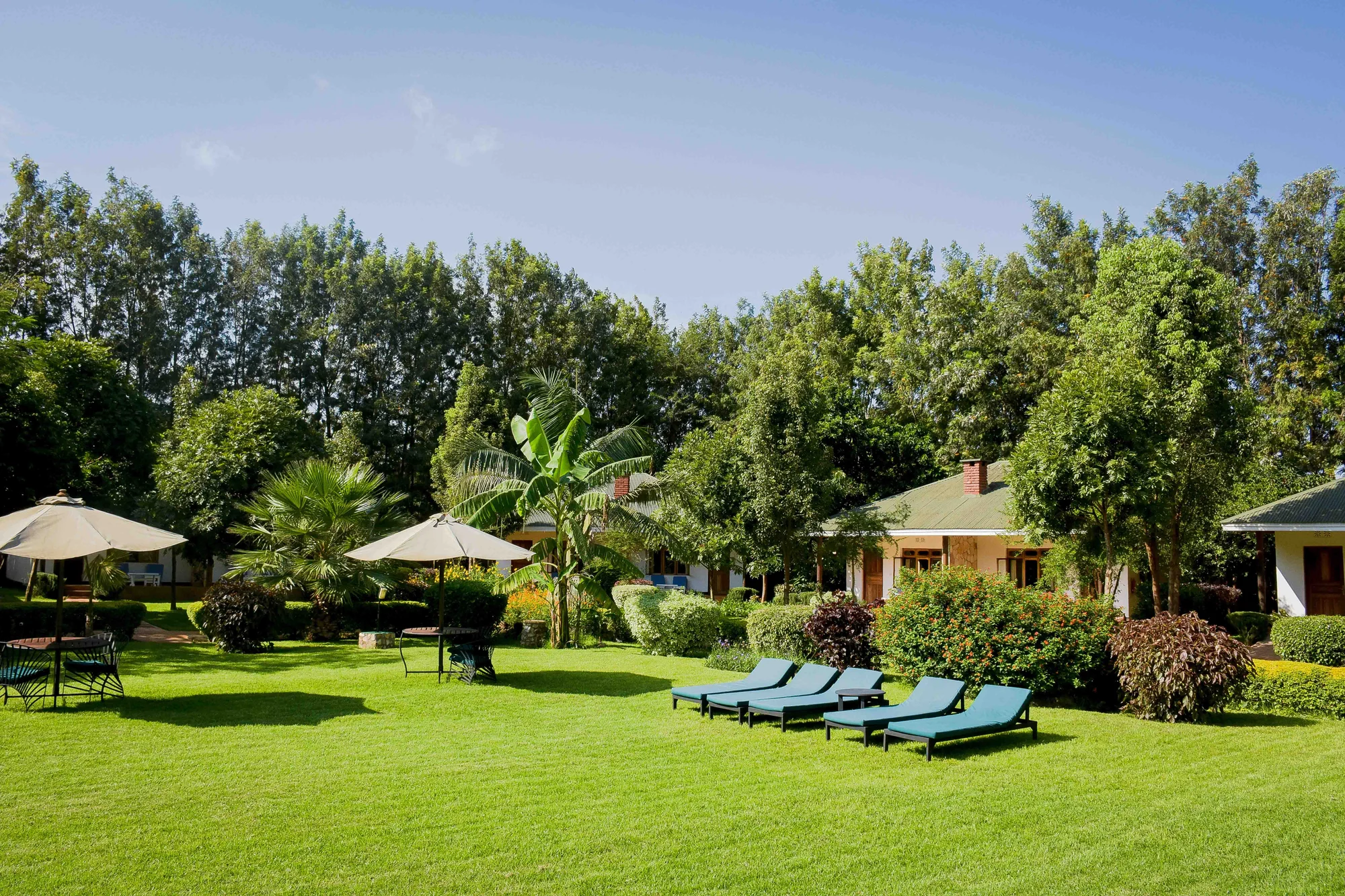 Bougainvillea Safari Lodge — image 2
