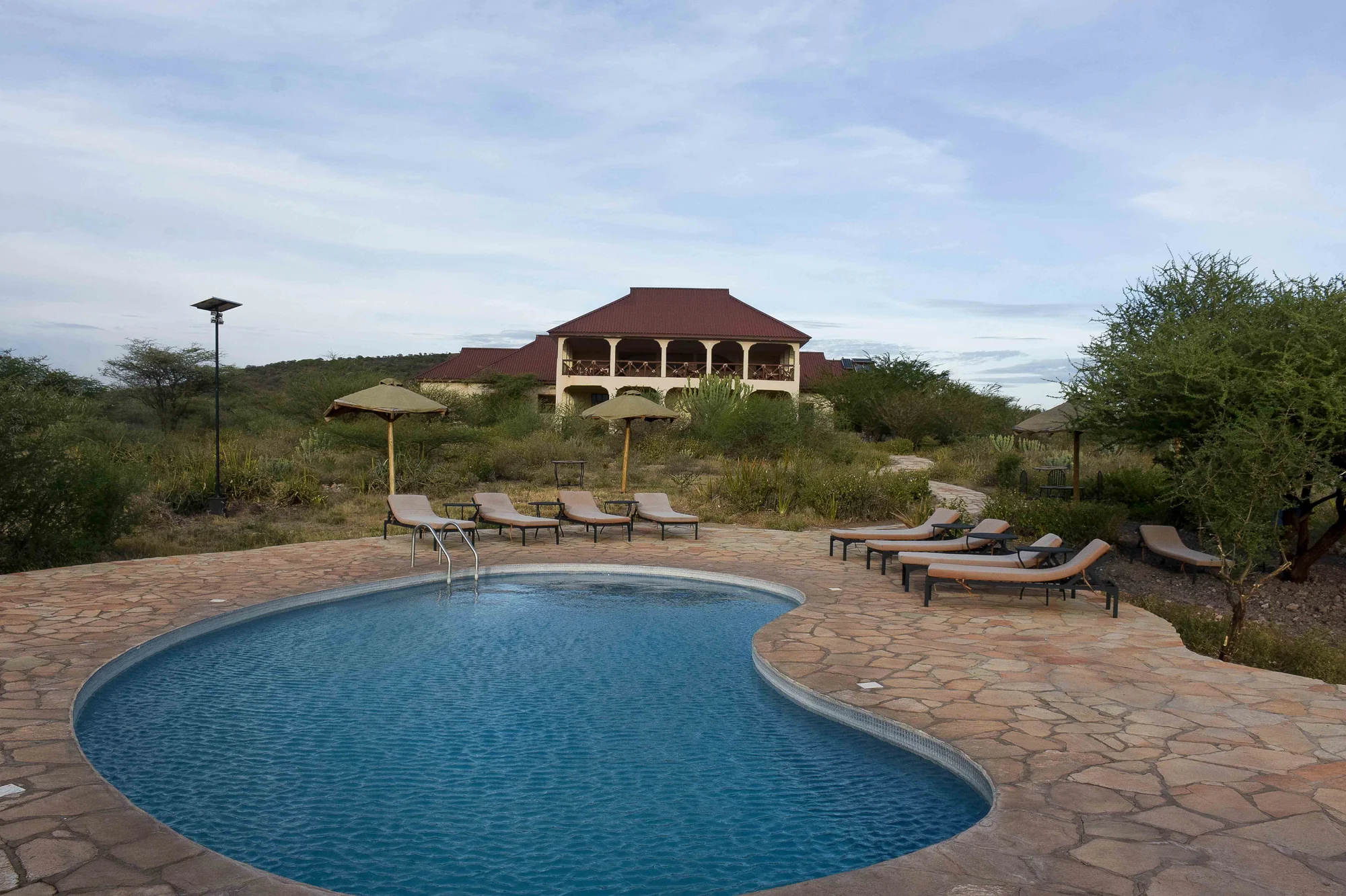 Bougainvillea Safari Lodge — image 3