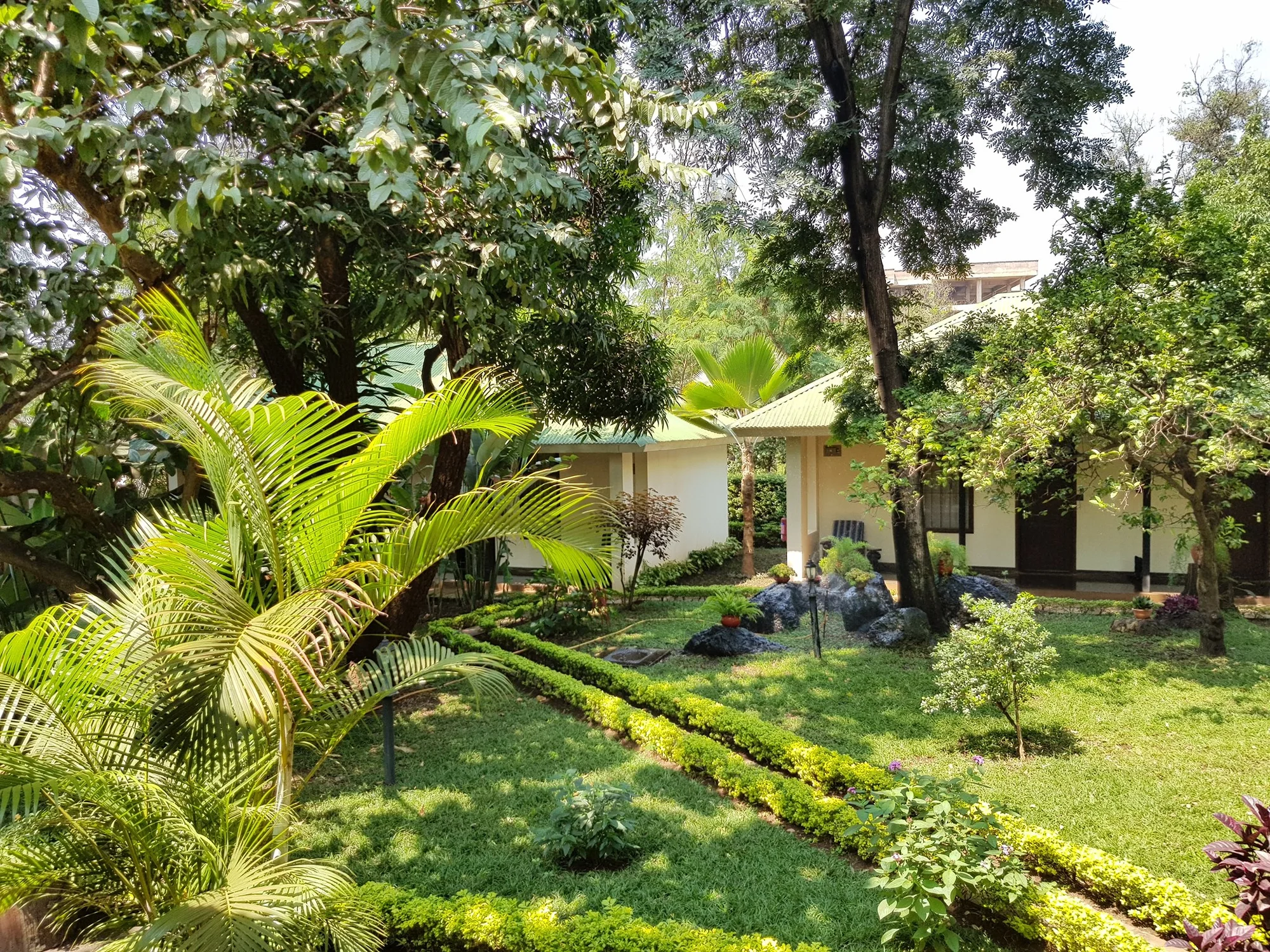 Bristol Cottages Kilimanjaro — image 4