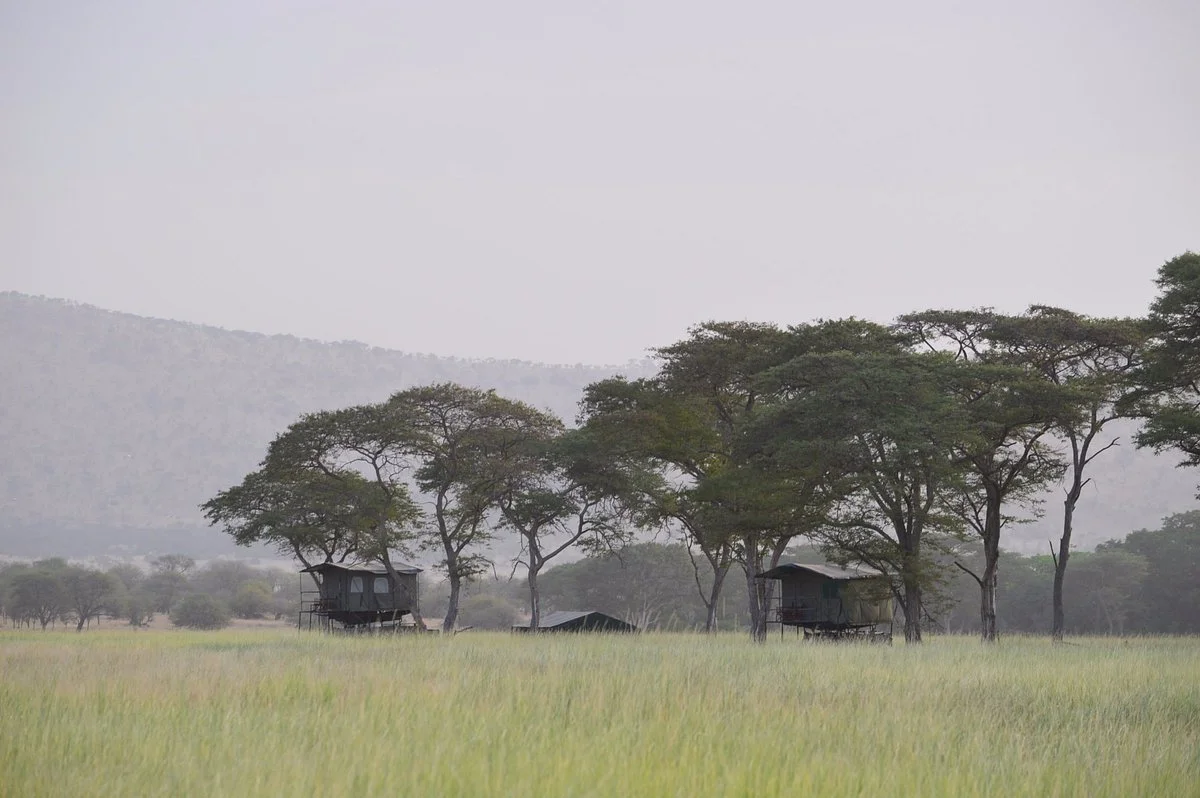 Bush Rover Migration Camp — image 4