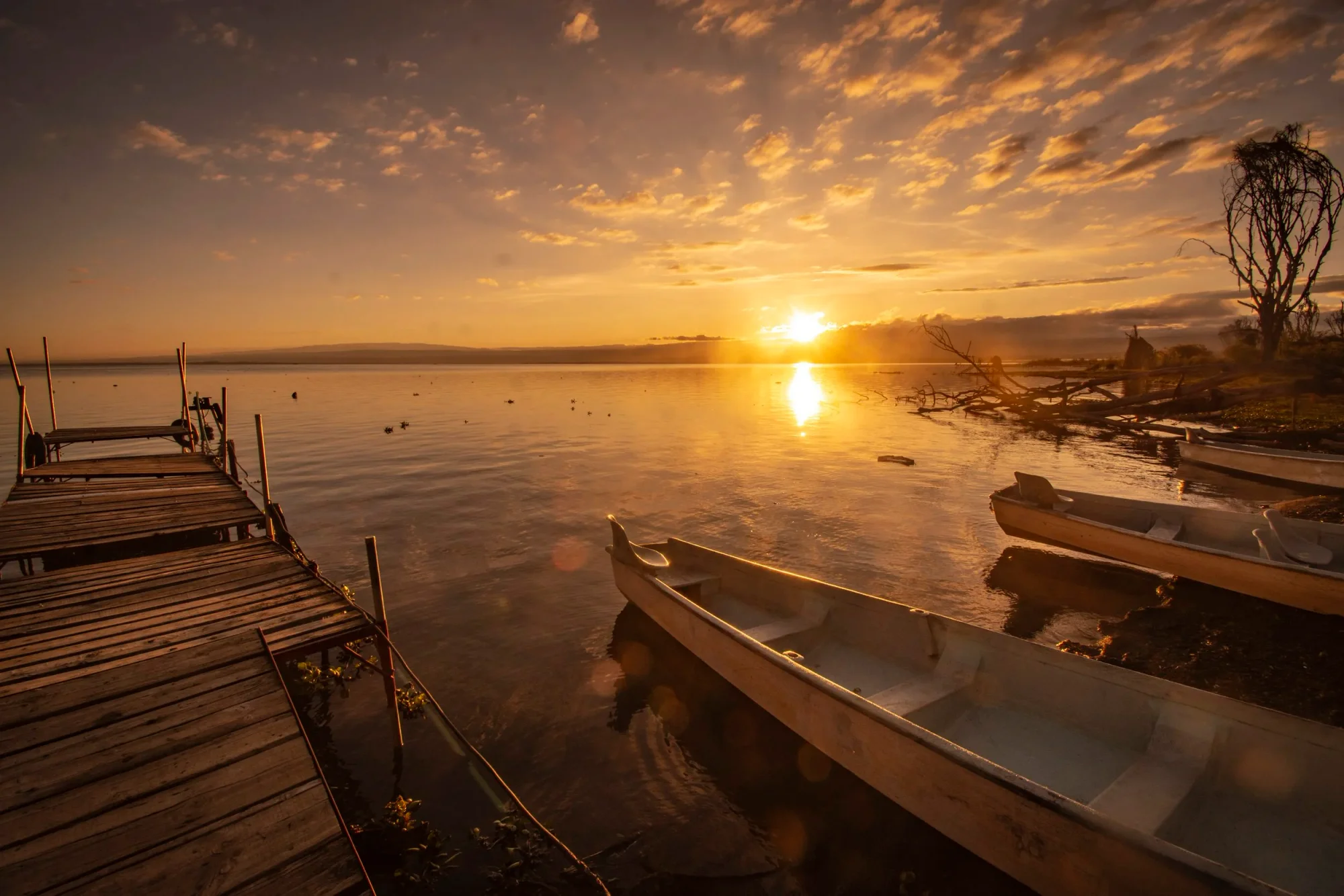 Camp Carnelley's — Lake Naivasha