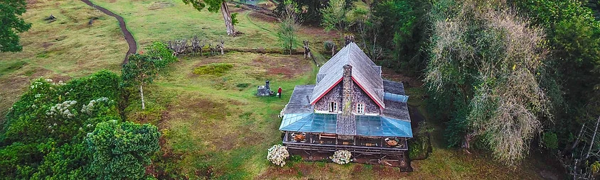 Castle Forest Lodge