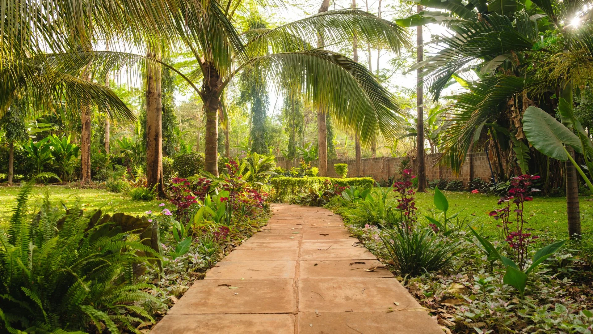 Chanya Lodge — image 3