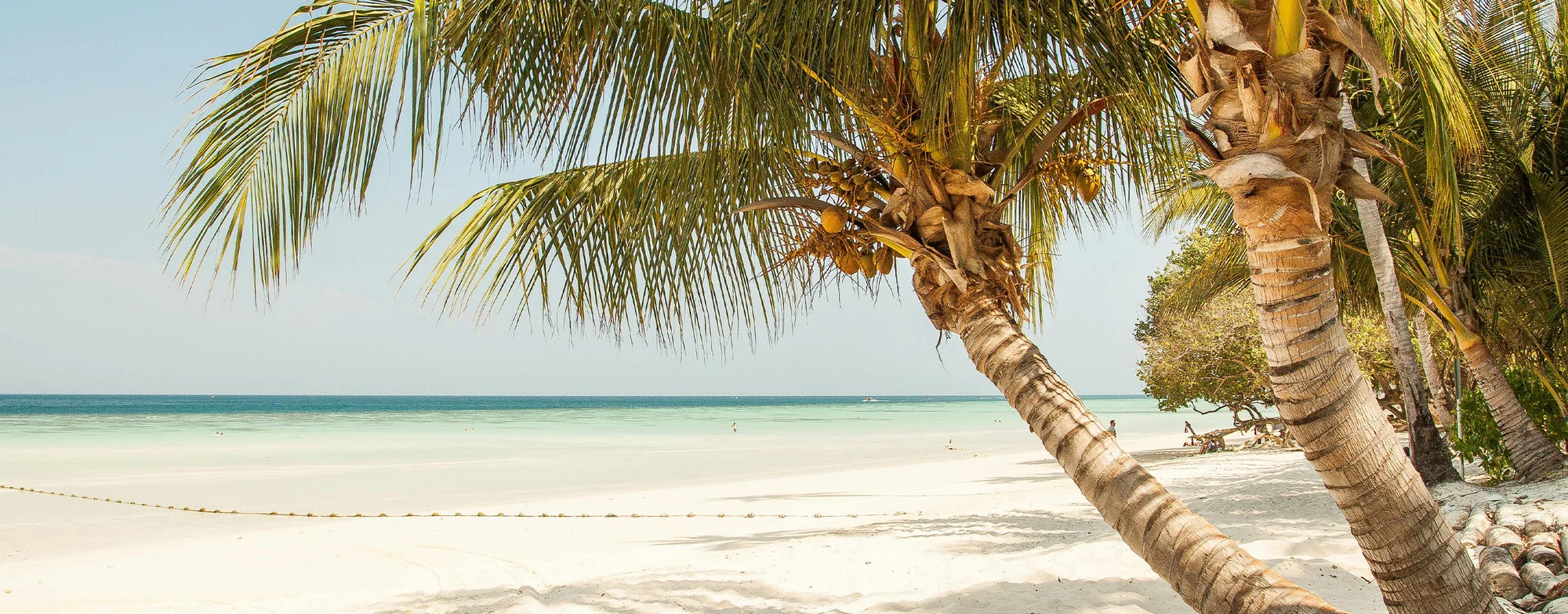 Chapwani Private Island — image 2