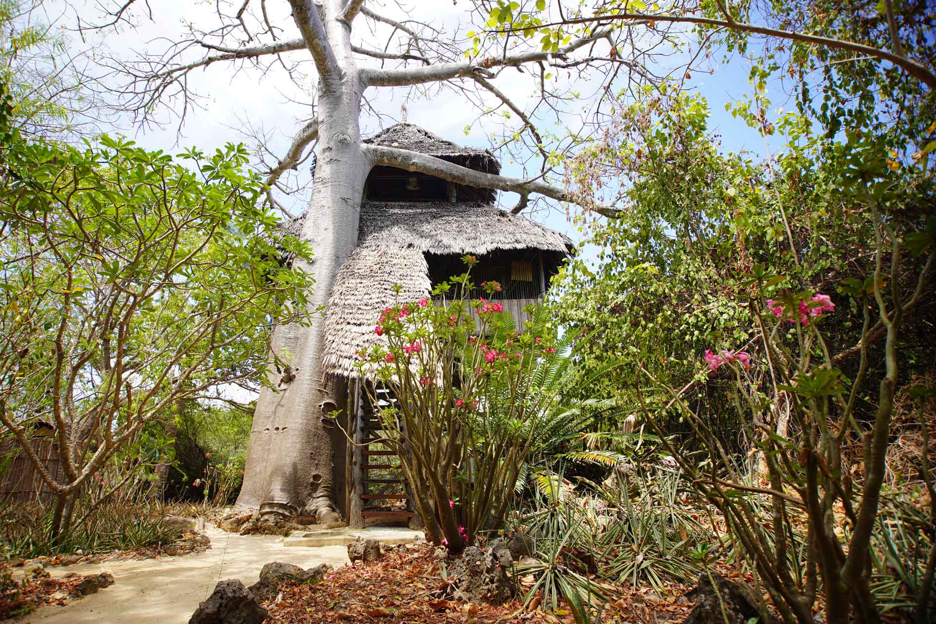 Chole Mjini Treetop Lodge — image 3