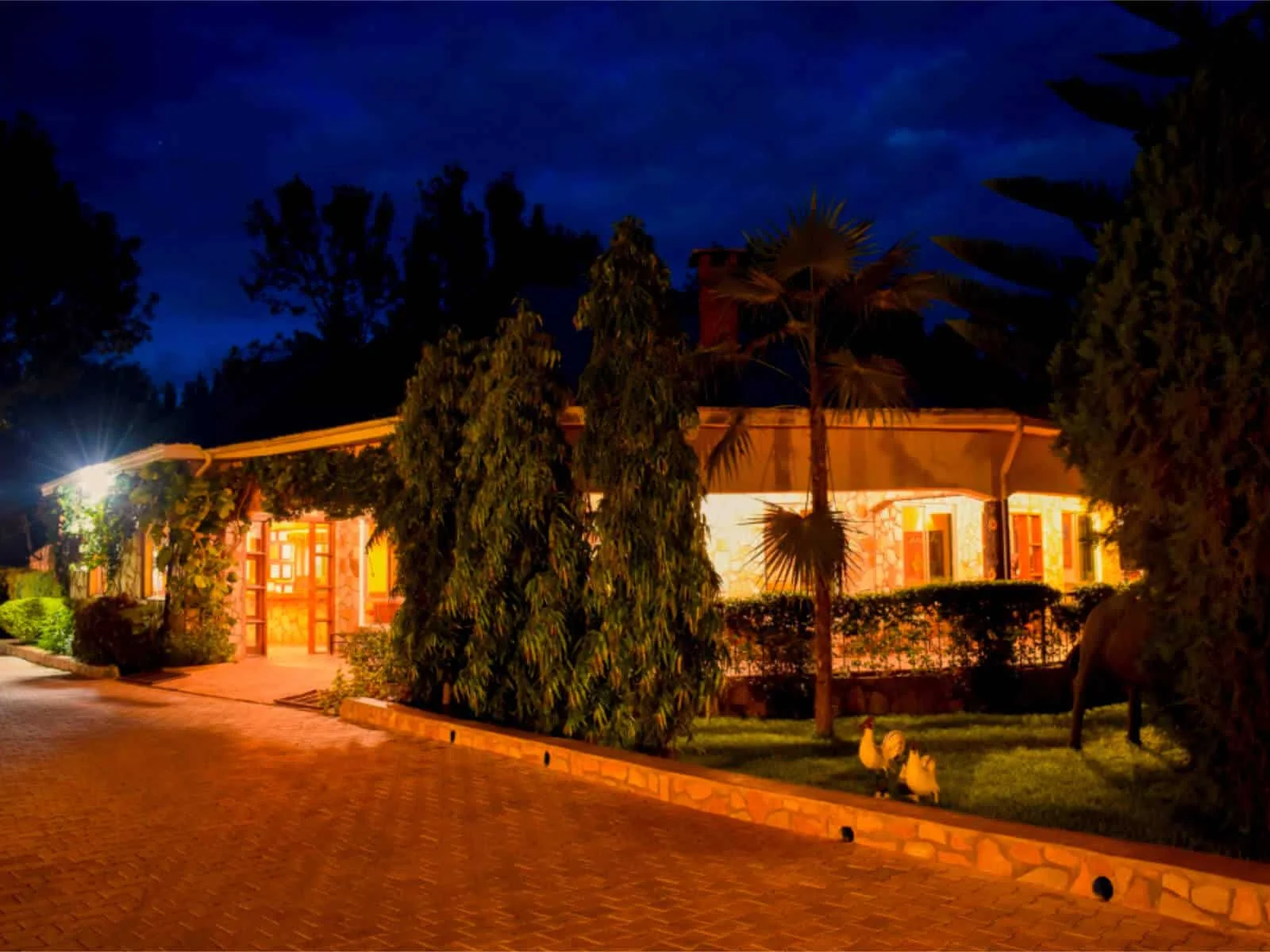 Country Lodge Karatu — image 4