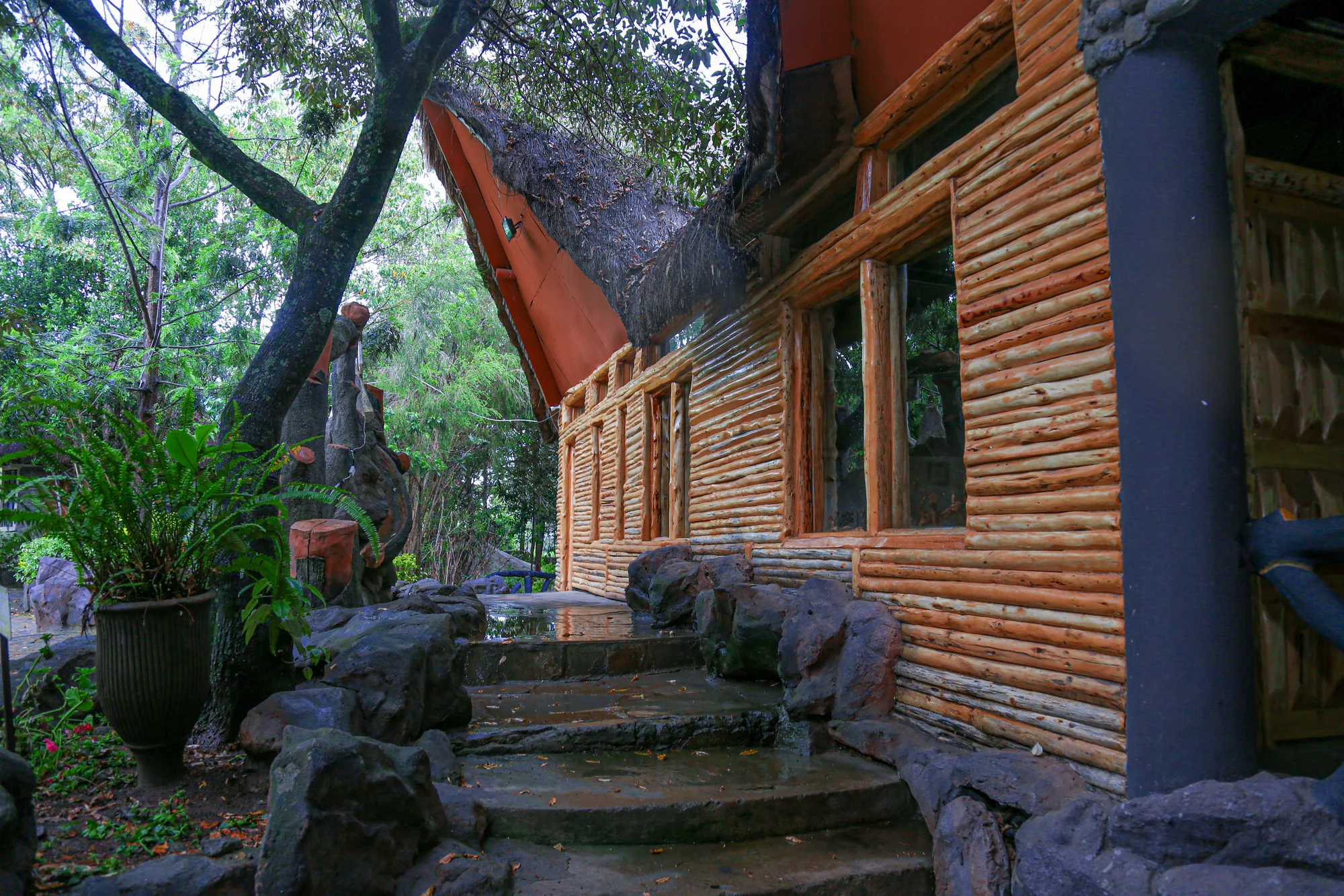 Dove Nest Lodge — image 3