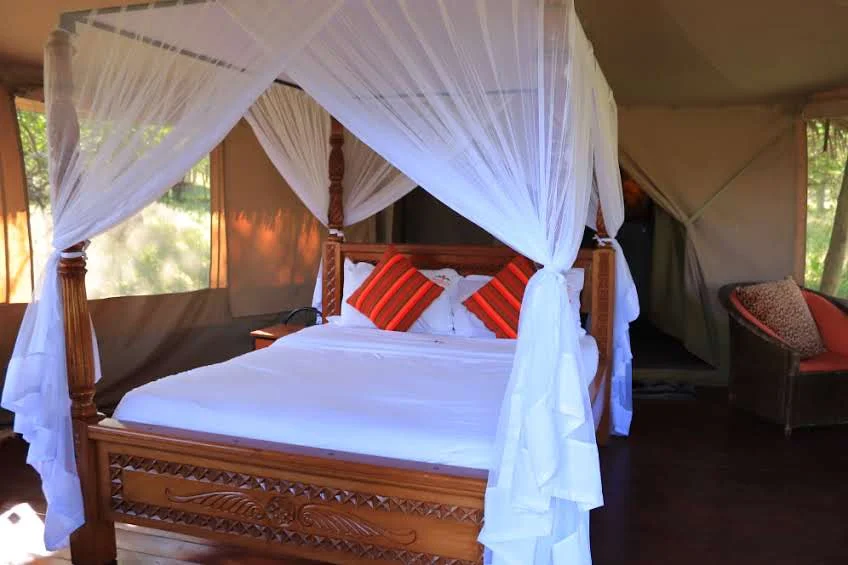 Elangata Olerai Tented Camp — Masai Mara National Reserve