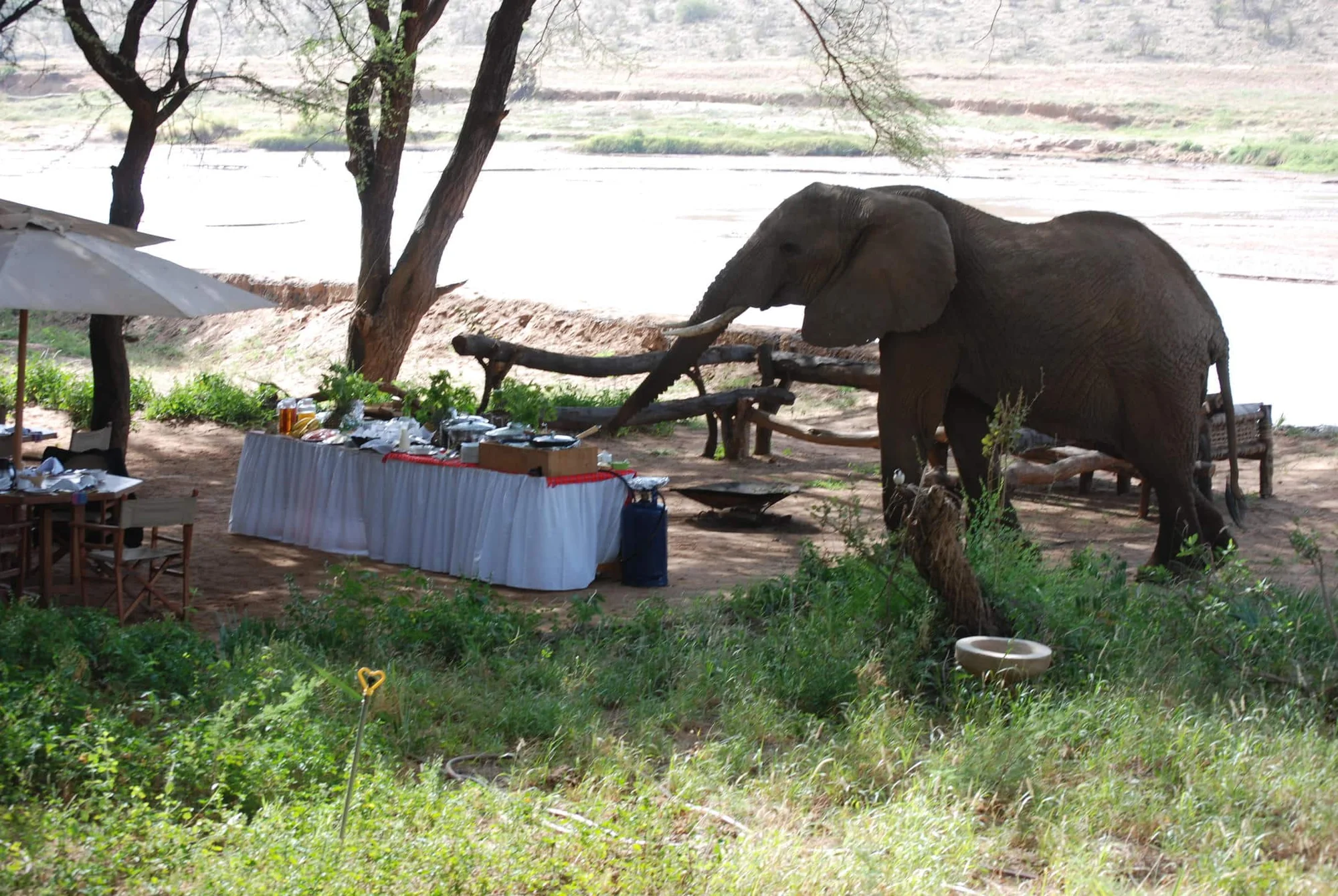 Elephant Bedroom Camp — image 3