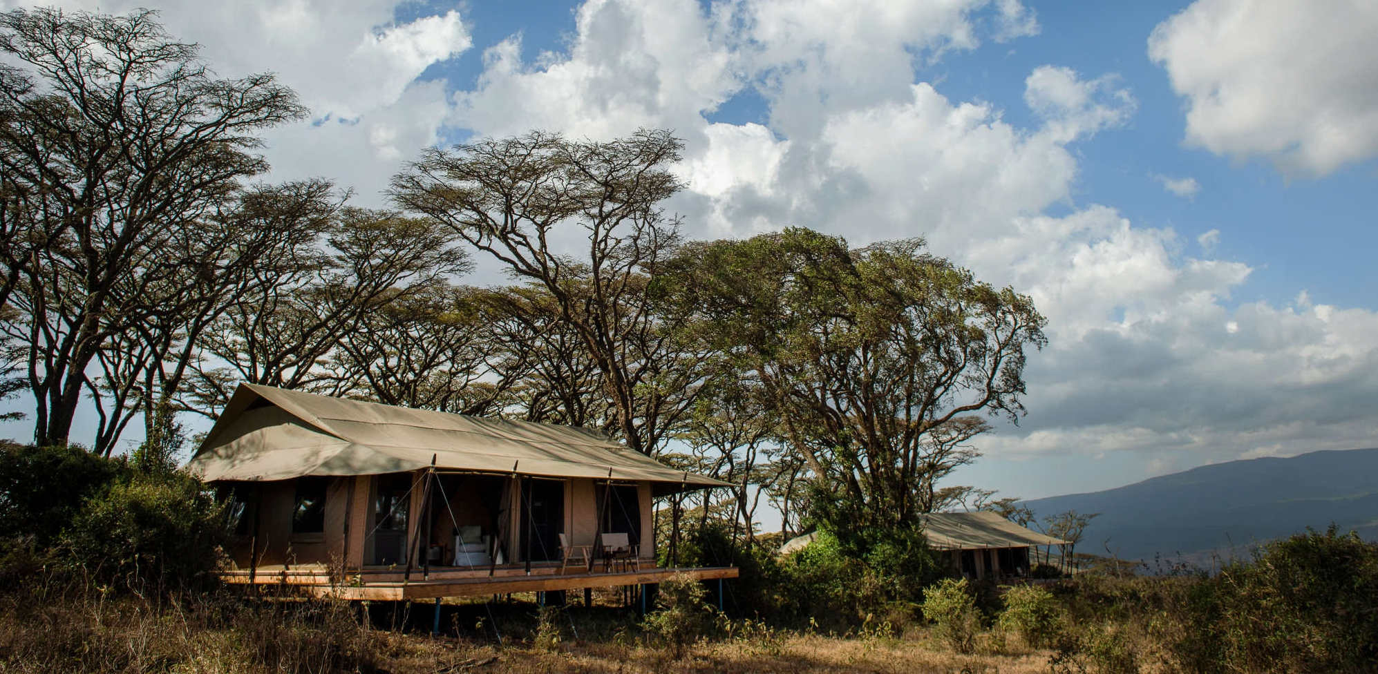 Entamanu Ngorongoro