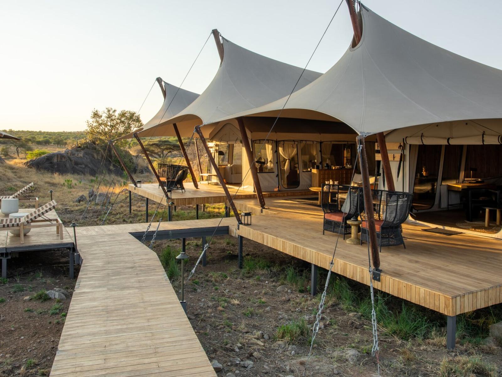 ENVI Sisini Serengeti — image 2