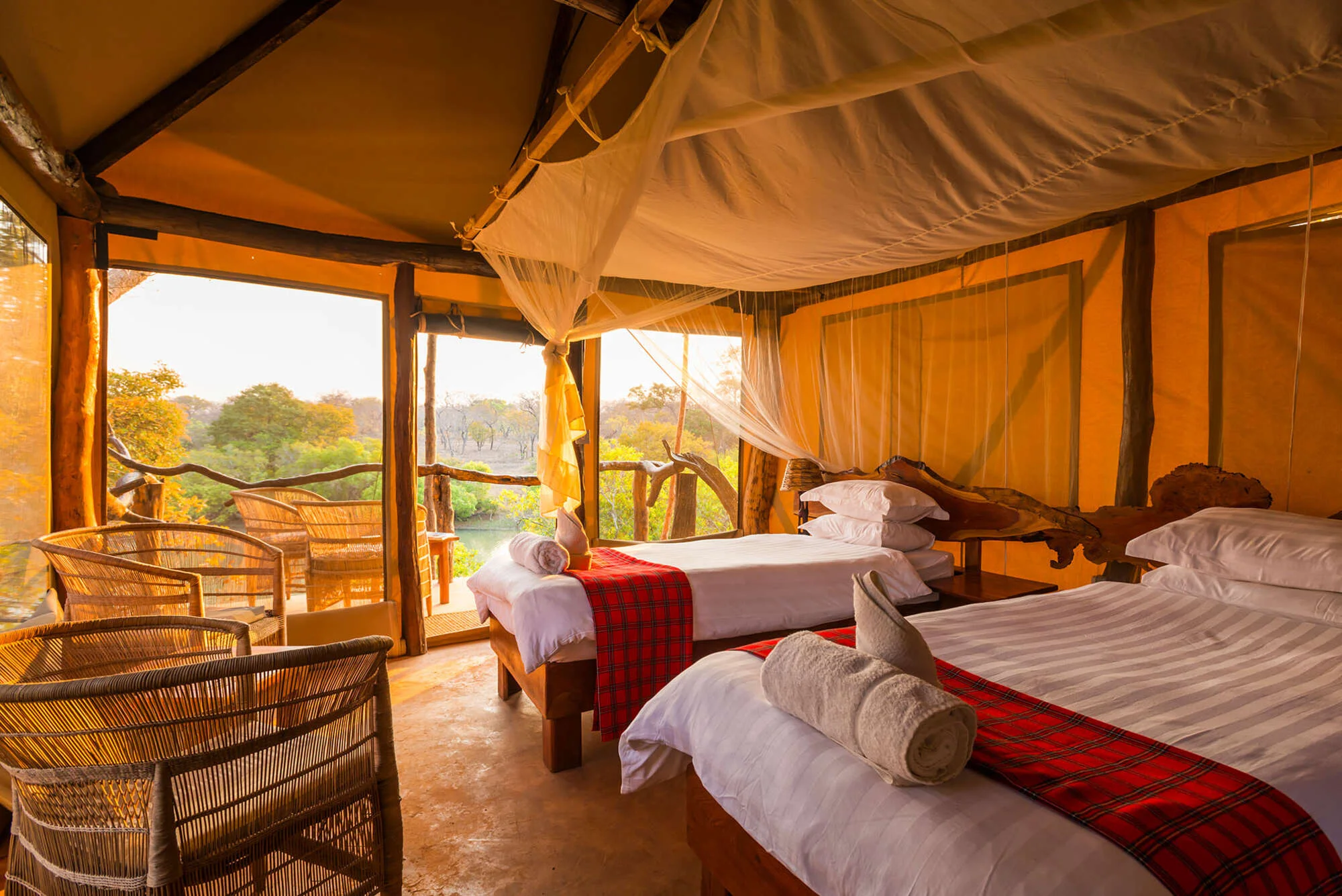 Fig Tree Camp — image 3