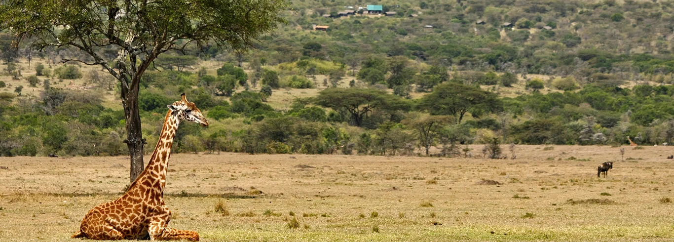 Fisi Camp — Masai Mara National Reserve