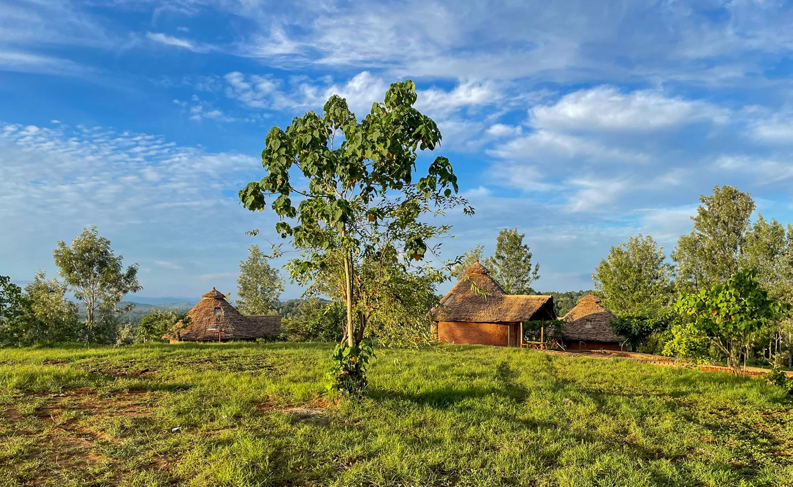Foresight Eco Lodge & Safari
