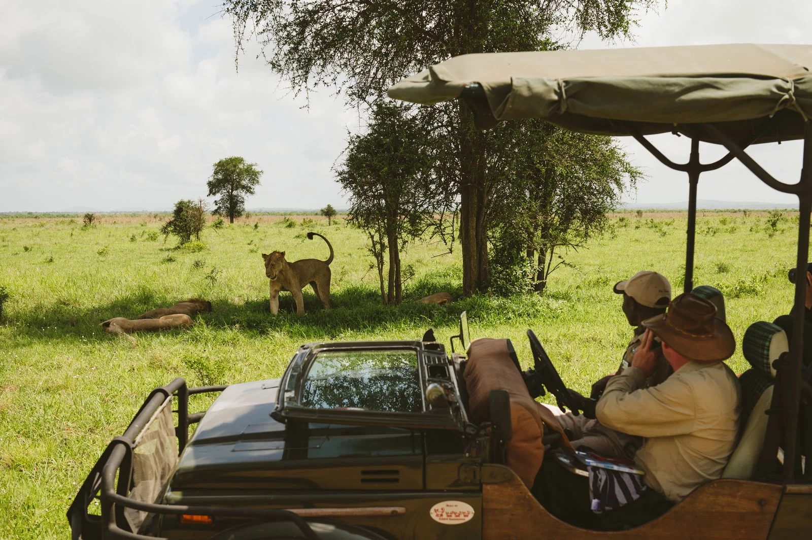 Foxes Safari Camp Mikumi — image 3