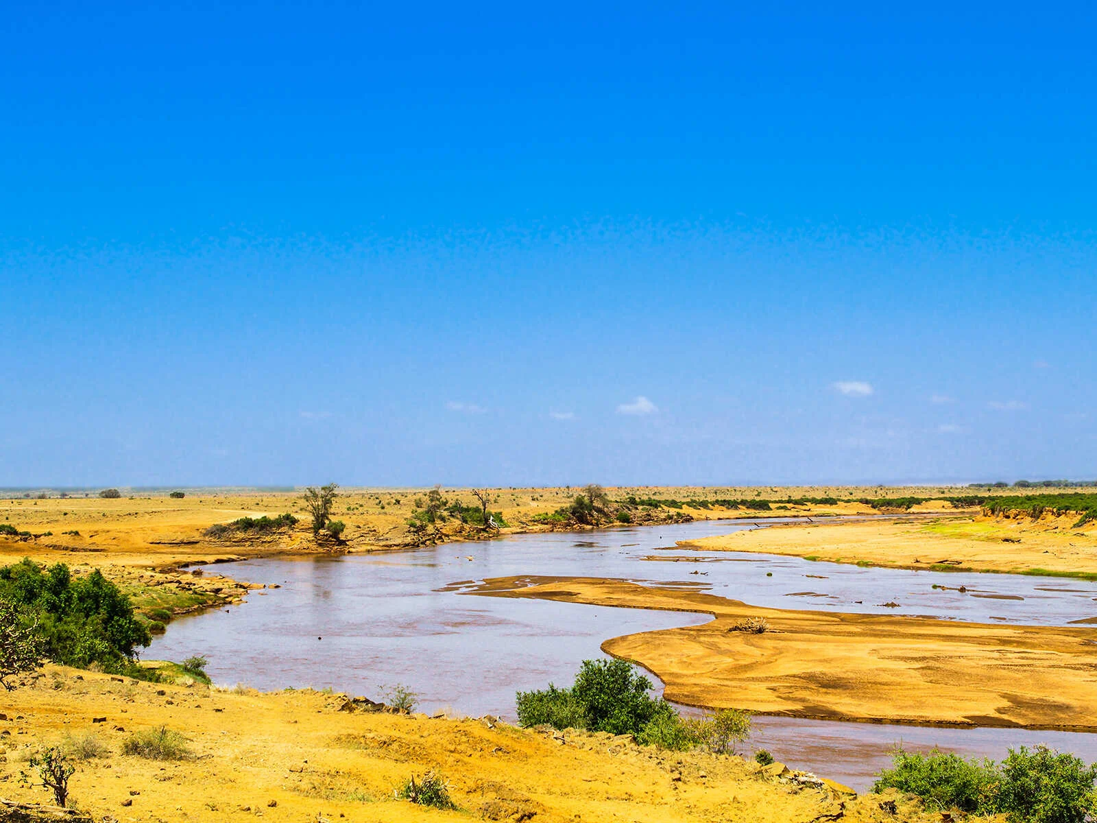 Galana Crocodile Camp — image 3