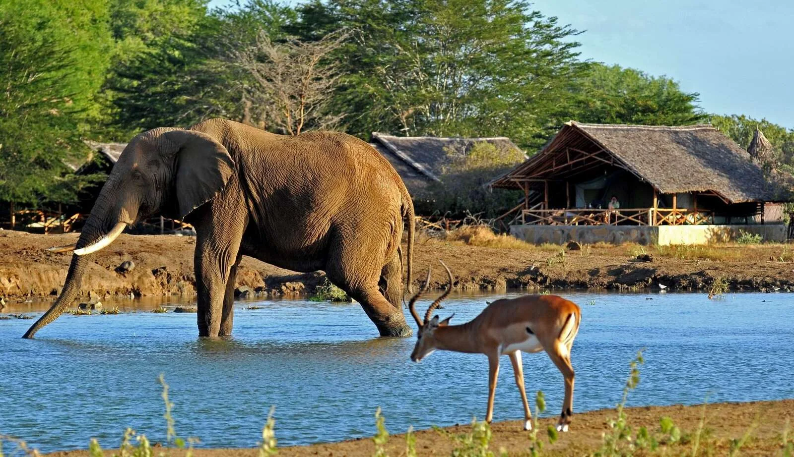 Galana Crocodile Camp