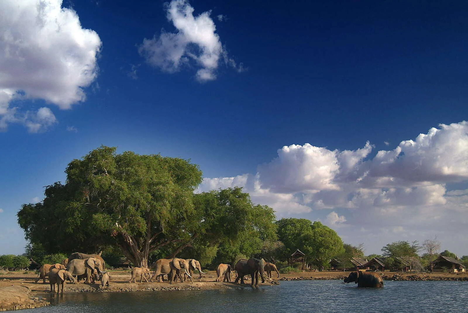 Galana Crocodile Camp — image 2