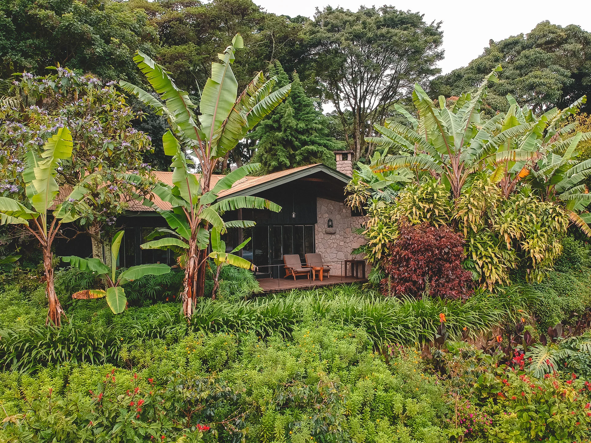 Gibb's Farm — image 3