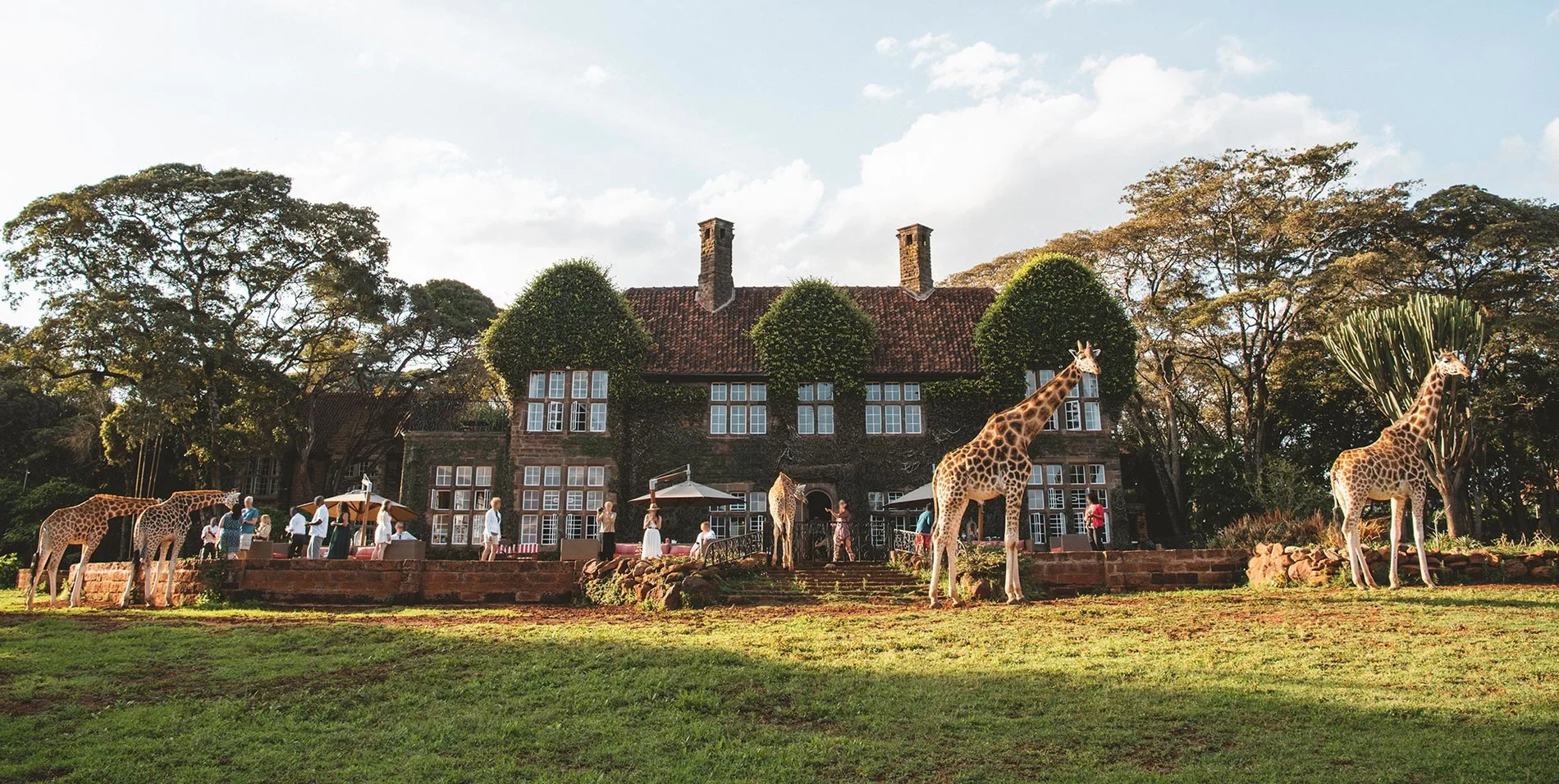 Giraffe Manor — image 3