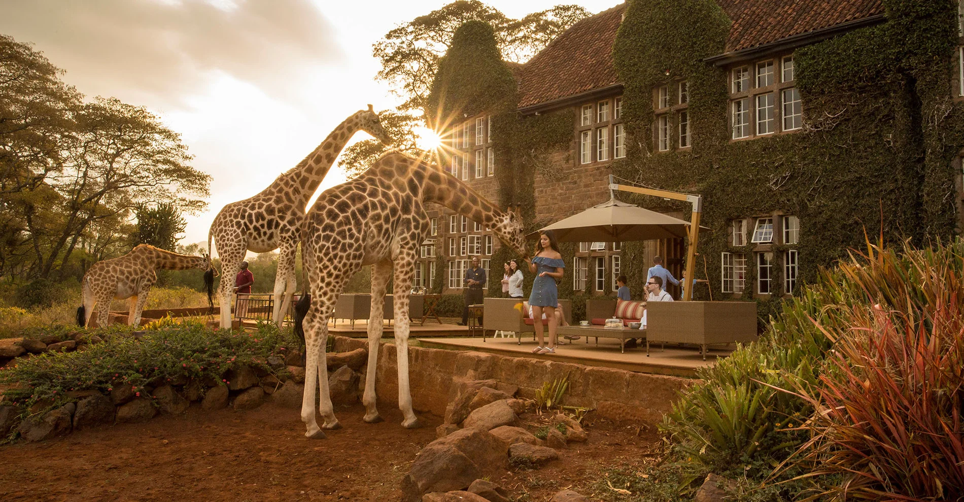 Giraffe Manor — image 4