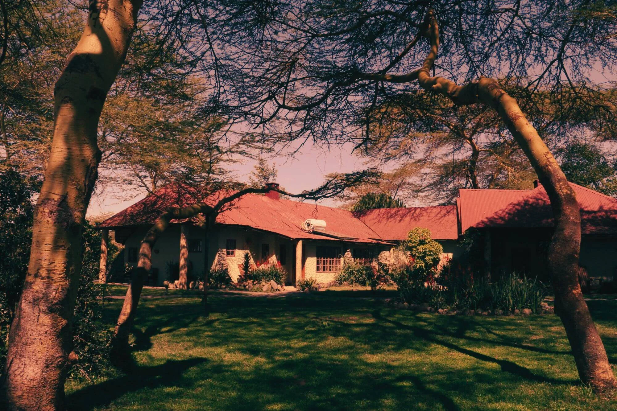 Hatari Lodge