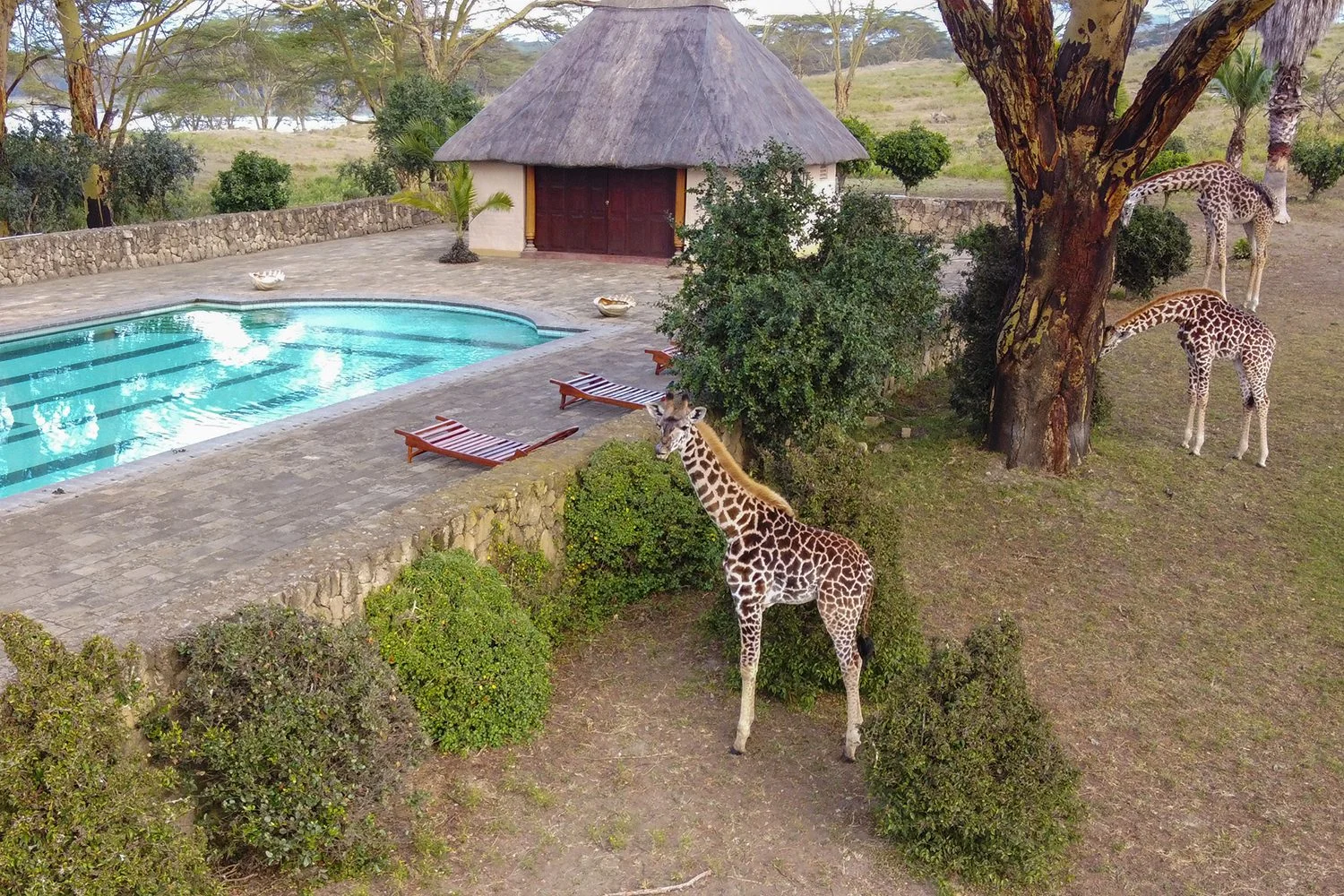 Hippo Point — image 2