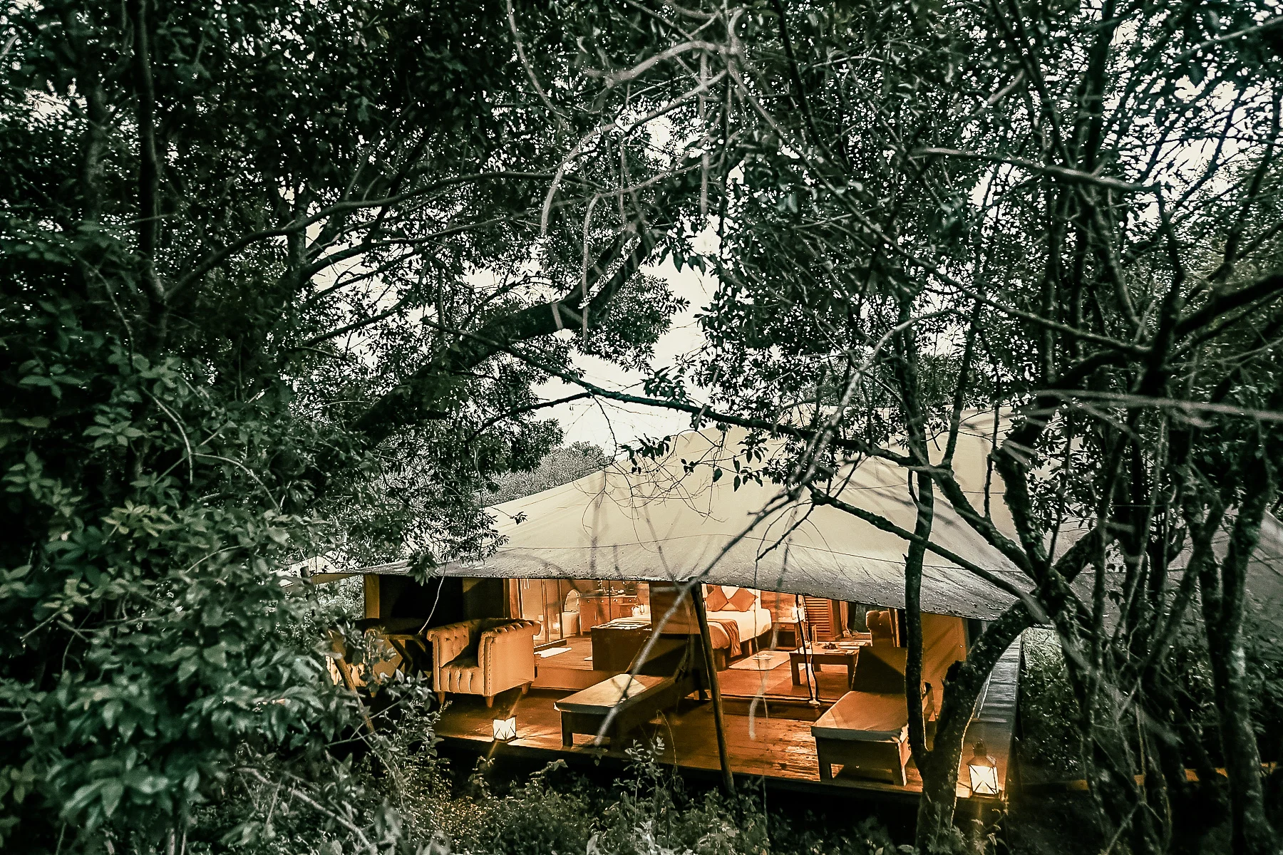 Ilora Retreats — image 4