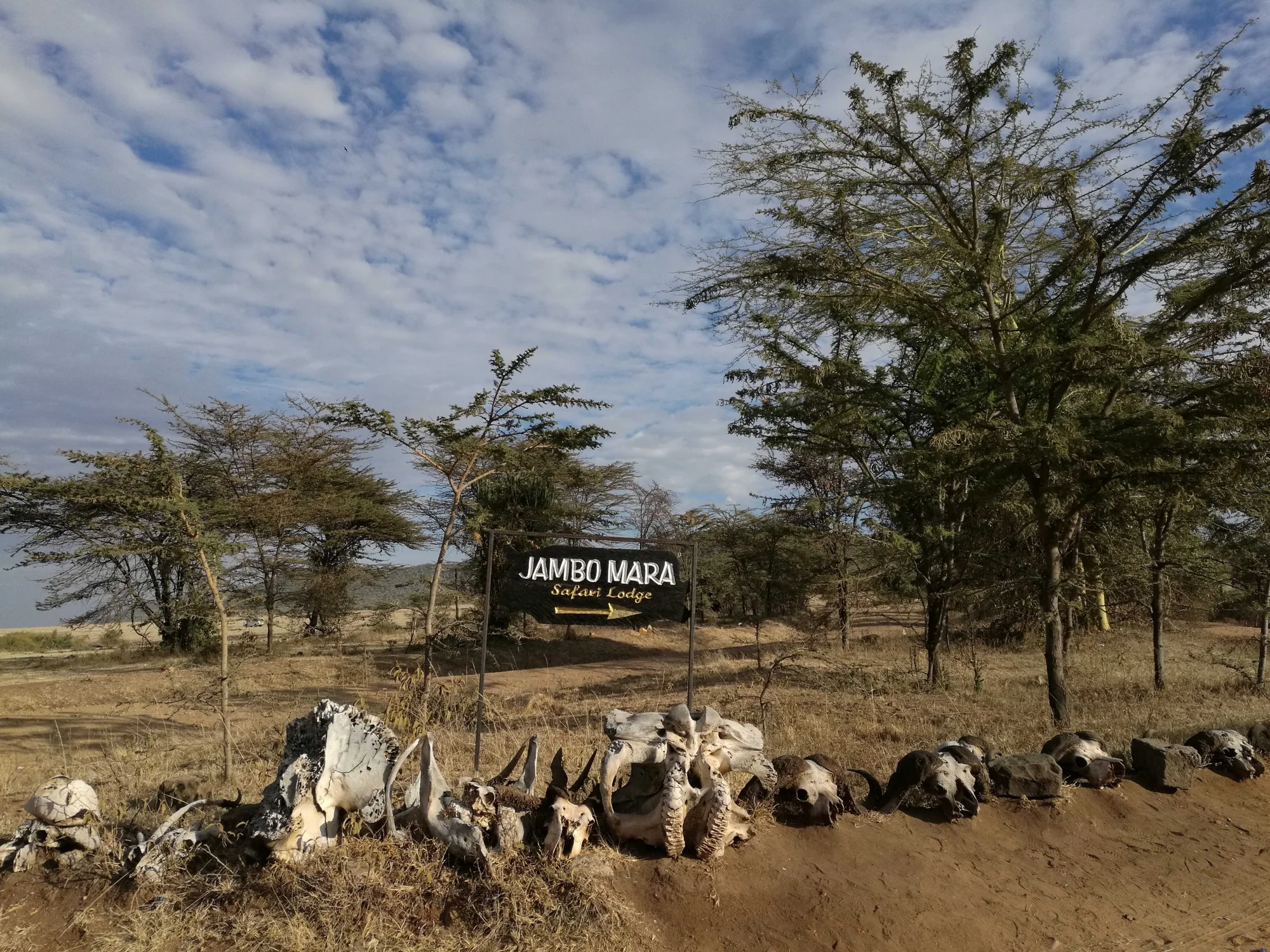 Jambo Mara Safari Lodge — image 4