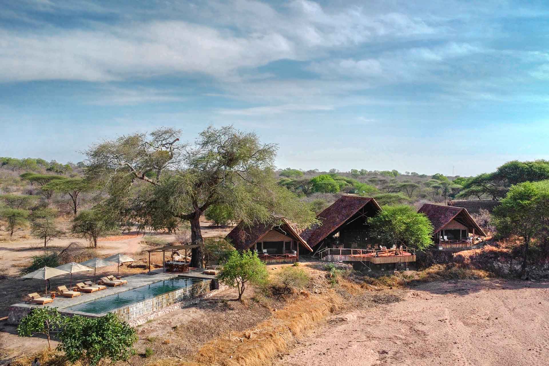 Jongomero Camp — image 3