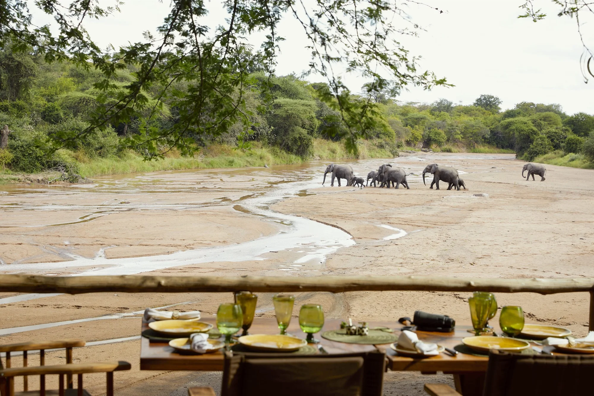 Jongomero Exclusive — Ruaha National Park