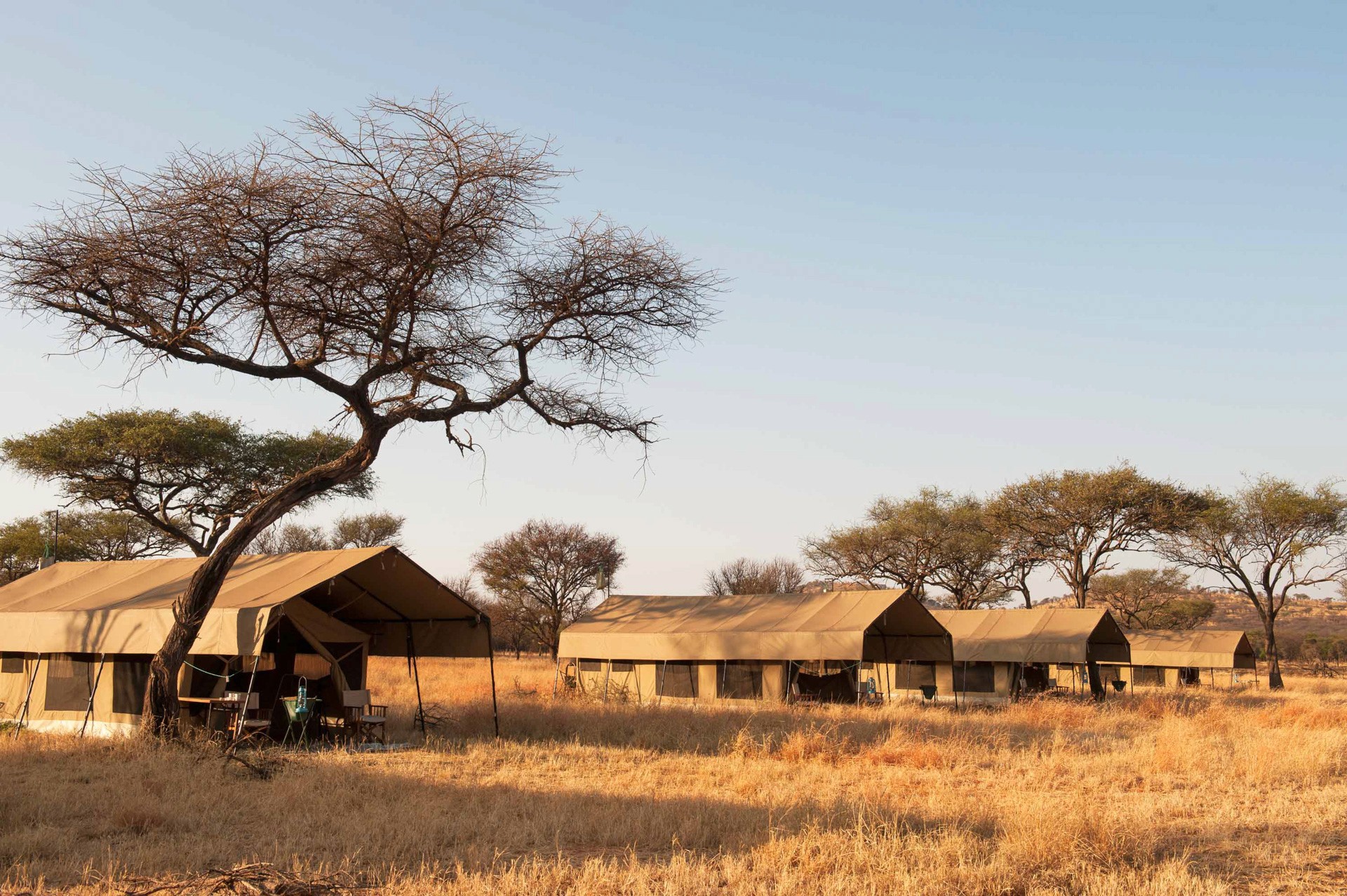 Kati Kati Tented Camp