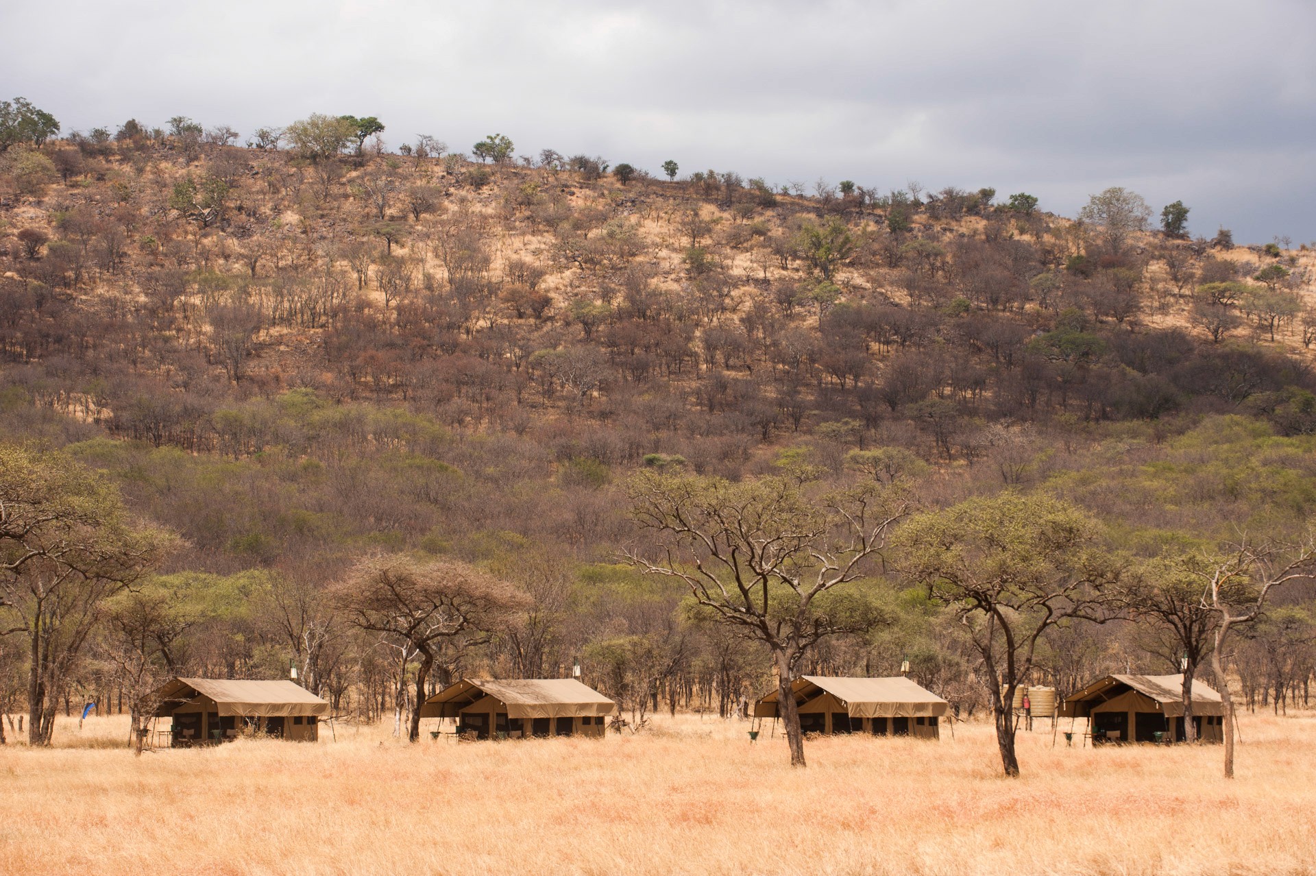 Kati Kati Tented Camp — image 4