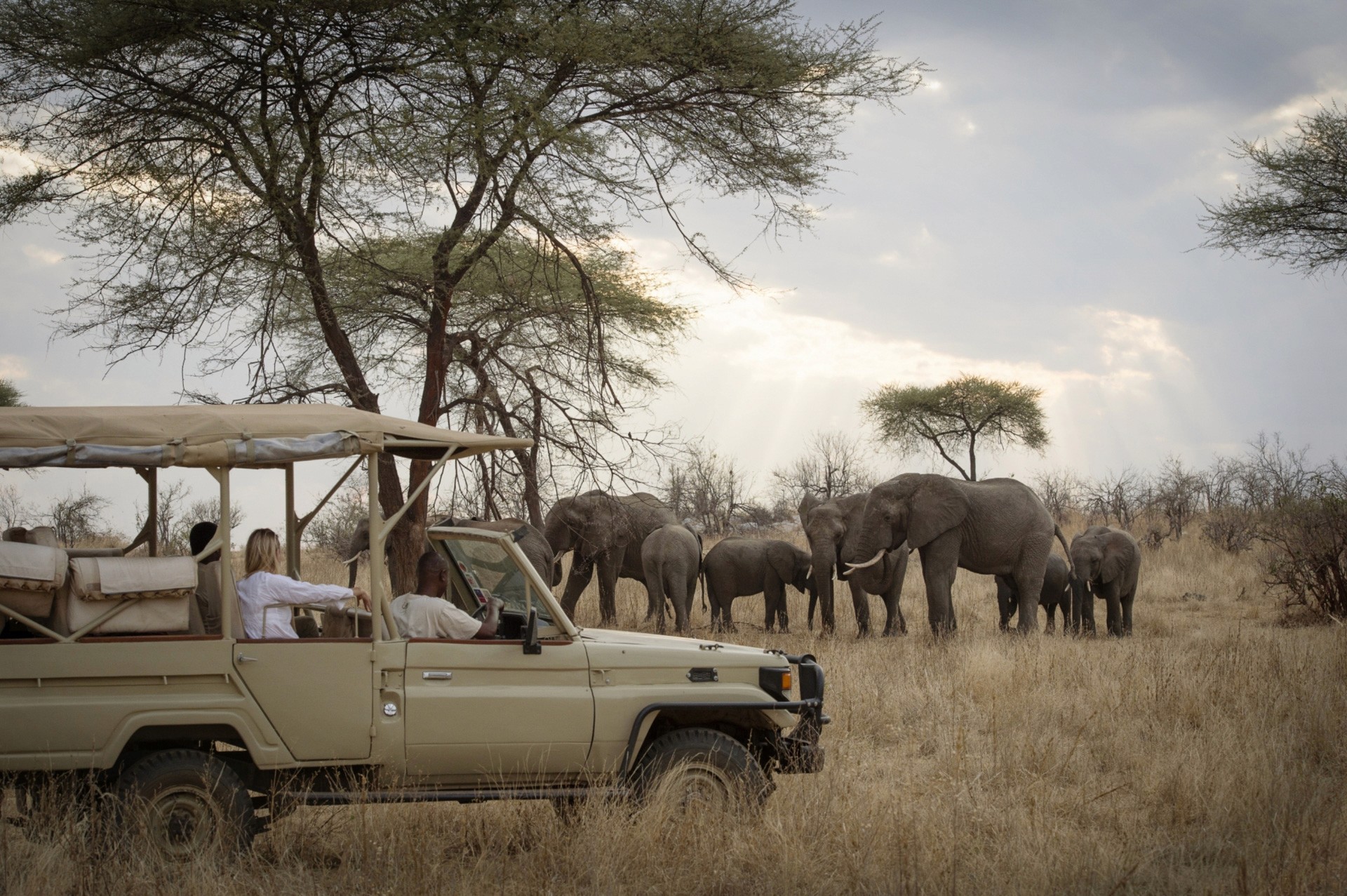 Kigelia Camp — Ruaha National Park