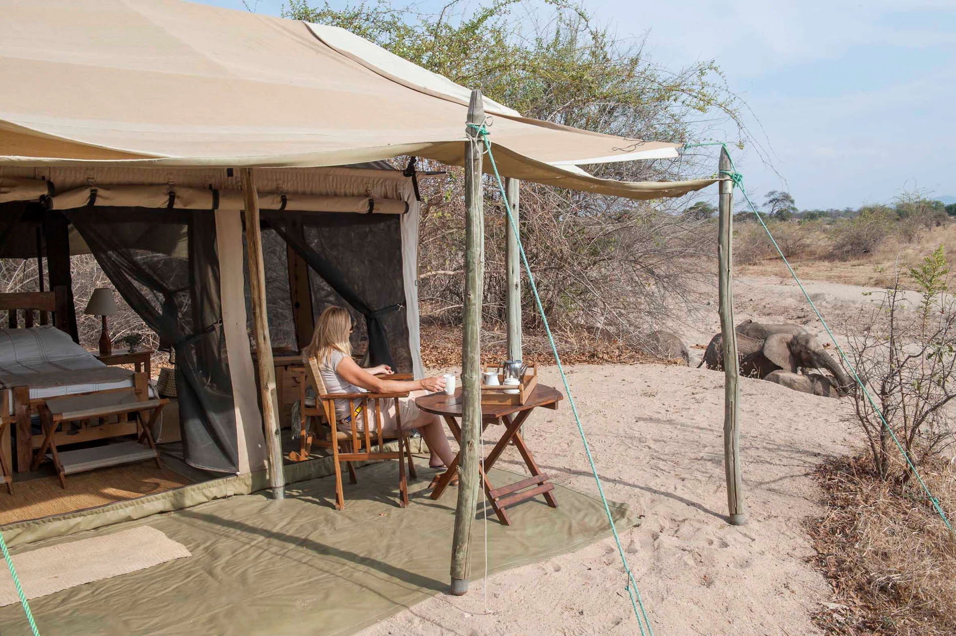 Kigelia Ruaha — Mikumi Fly Camp — image 2
